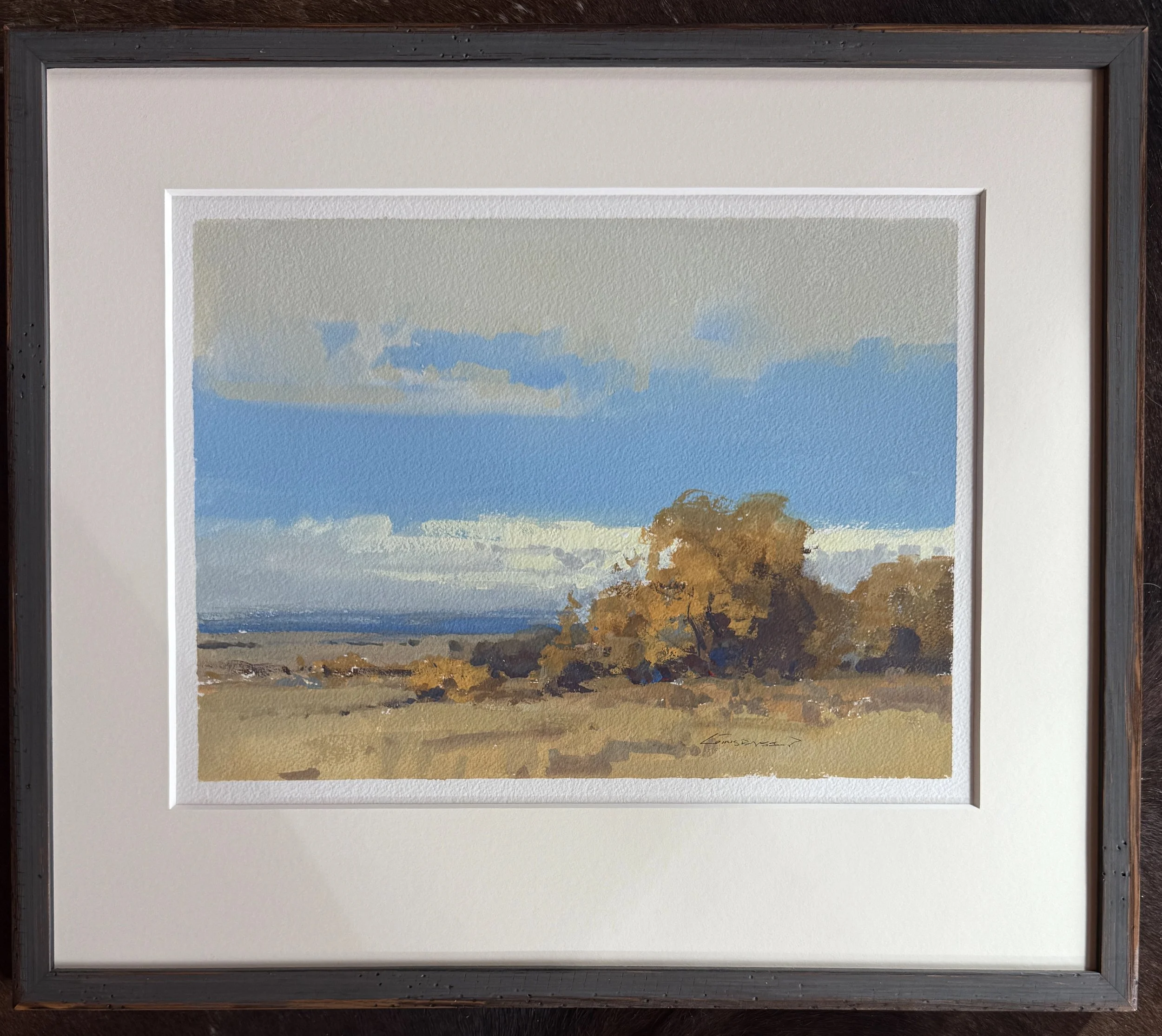 #13 between land and sky 19x22 framed $2,300 gouache.jpeg