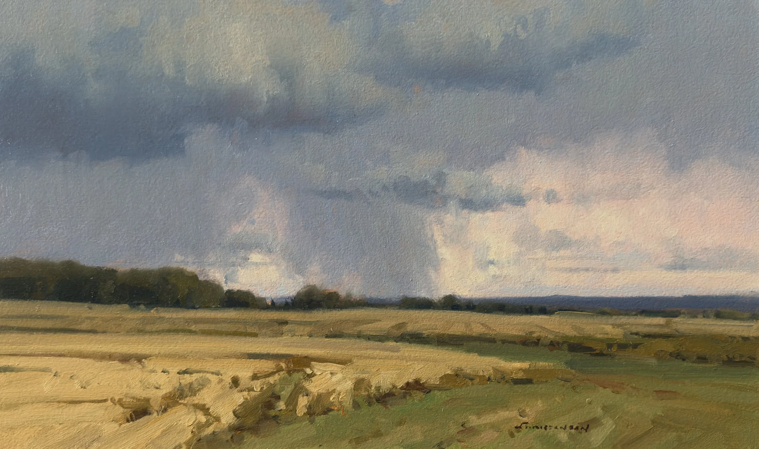 #40 July storm 12x20 3,300 oil.jpeg