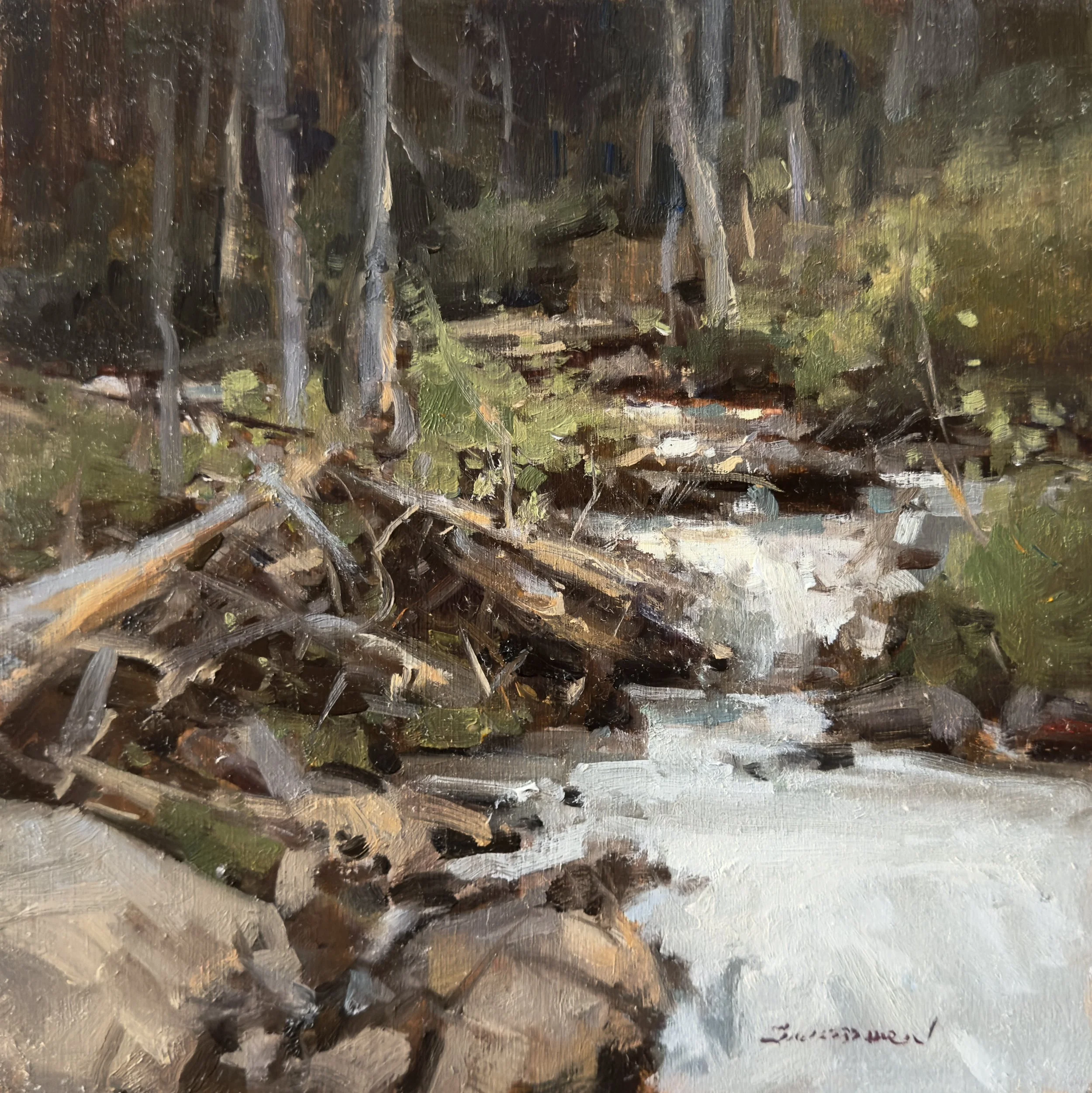 #27 spring runoff 10x10 2,300 oil.jpeg