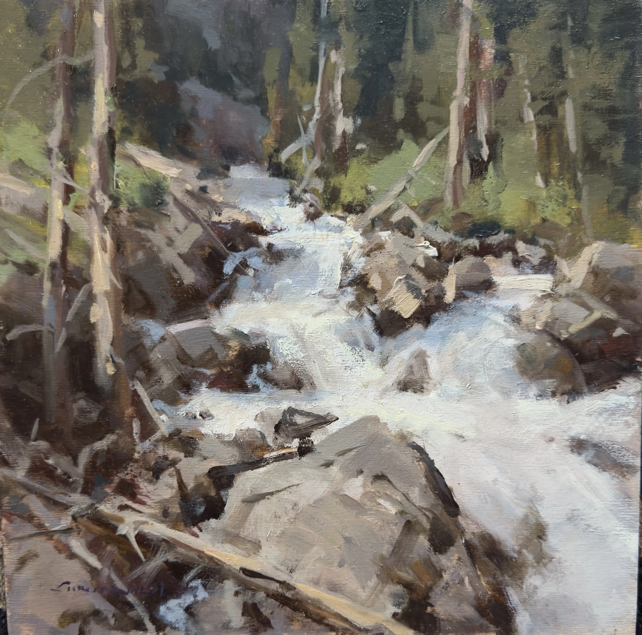#24 North fork falls 10x10 $2,300 oil.jpeg