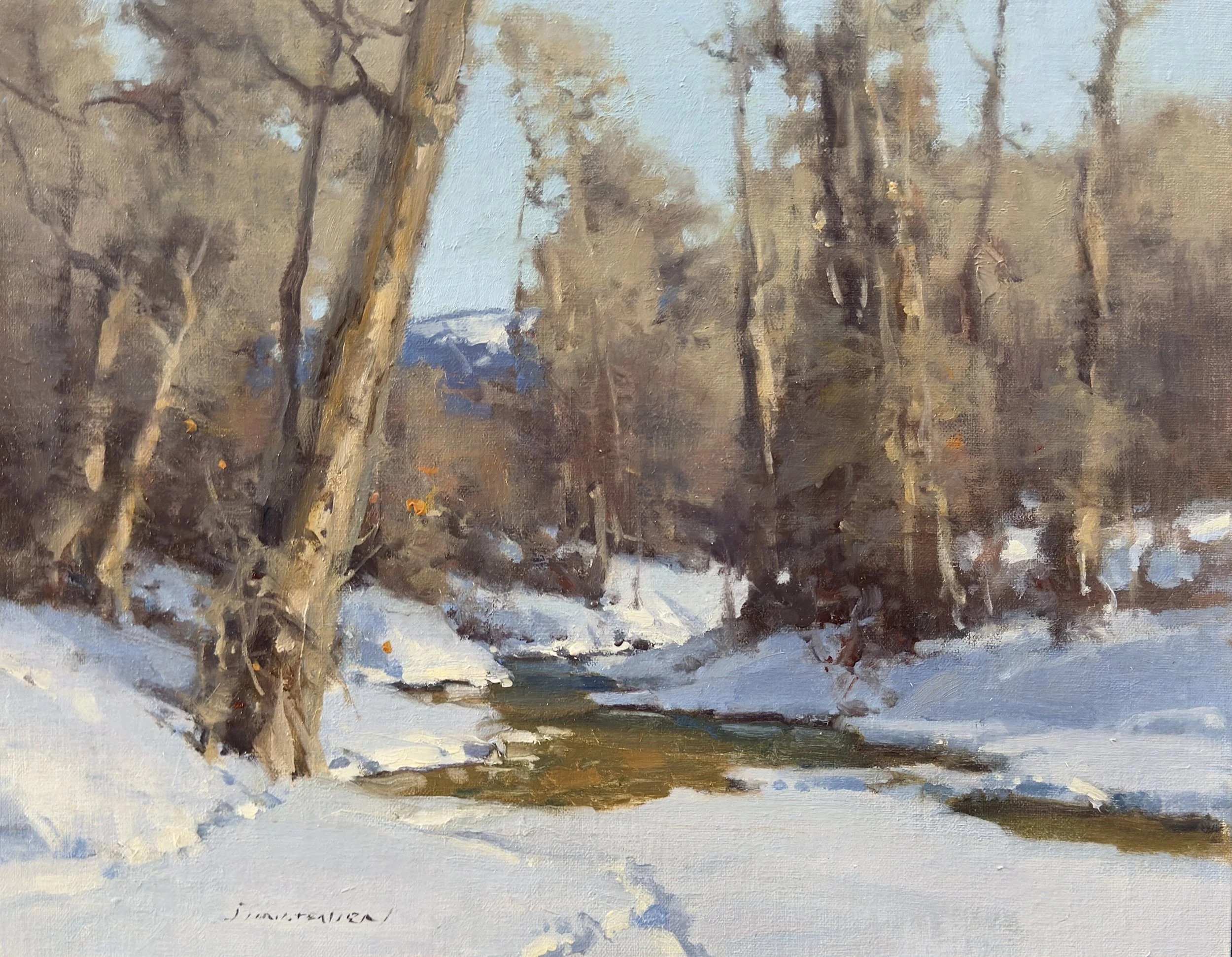 #8 march snow 11x14 2,500 oil.jpeg
