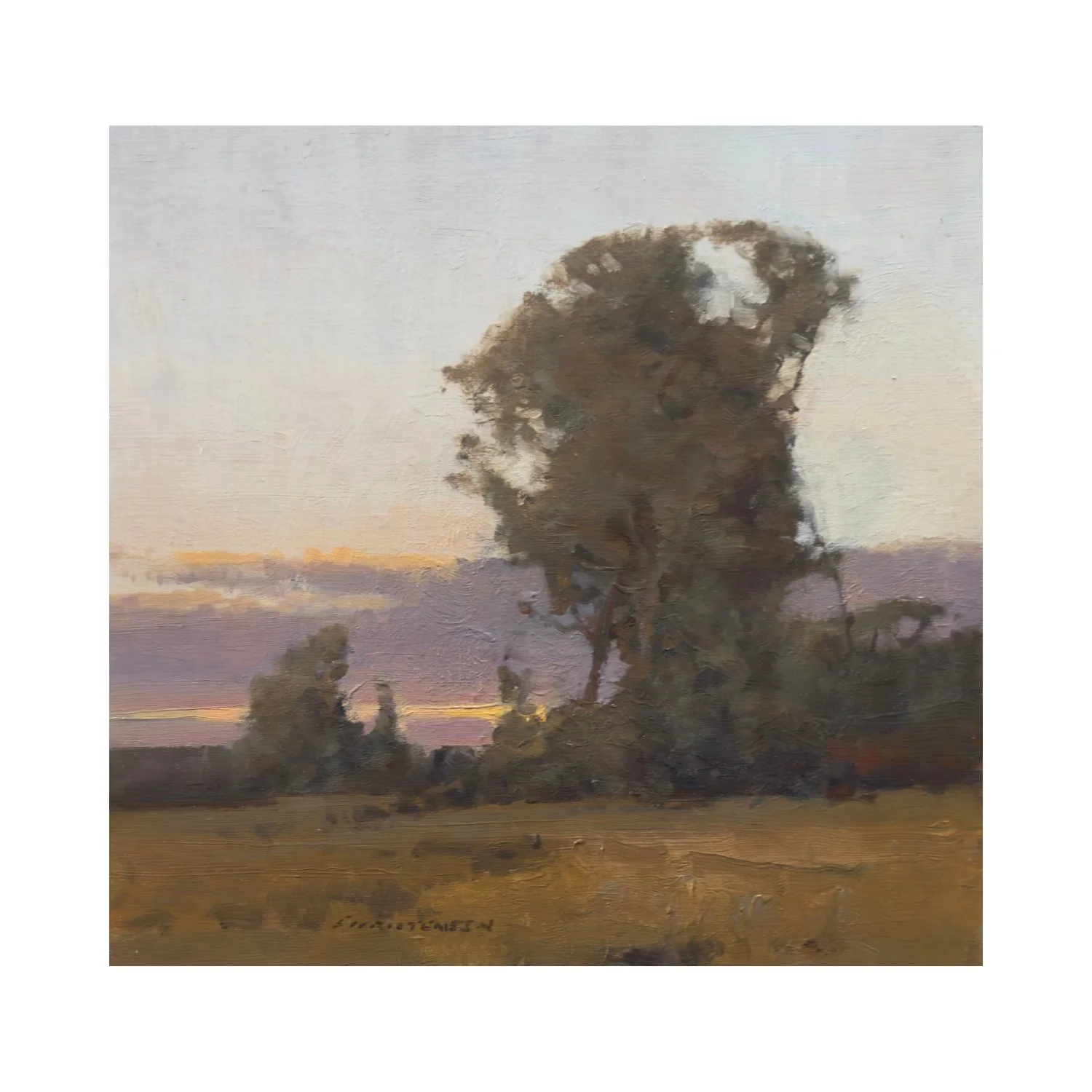 #25 evening 10x10 $2,300 oil featured.jpg