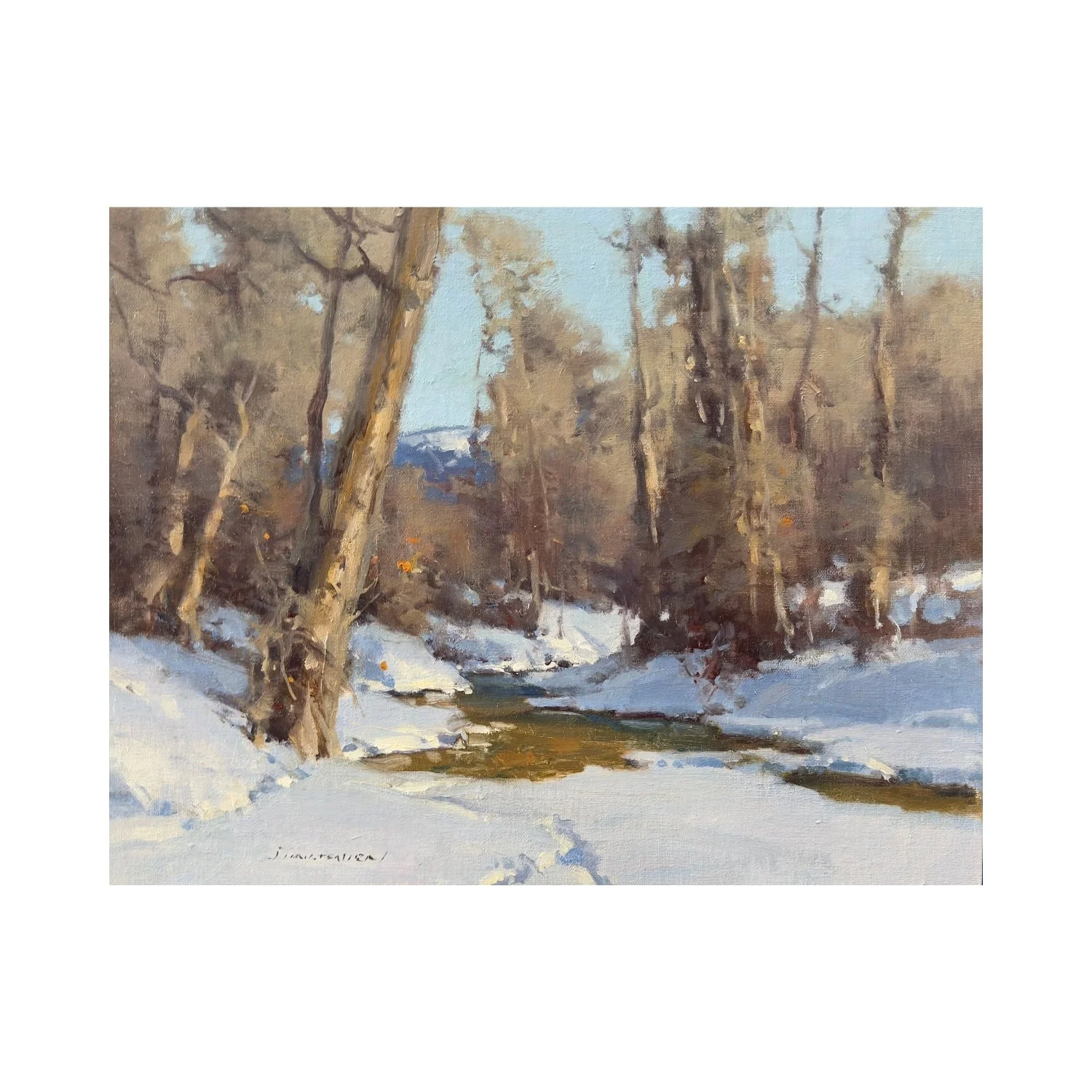 March Snow