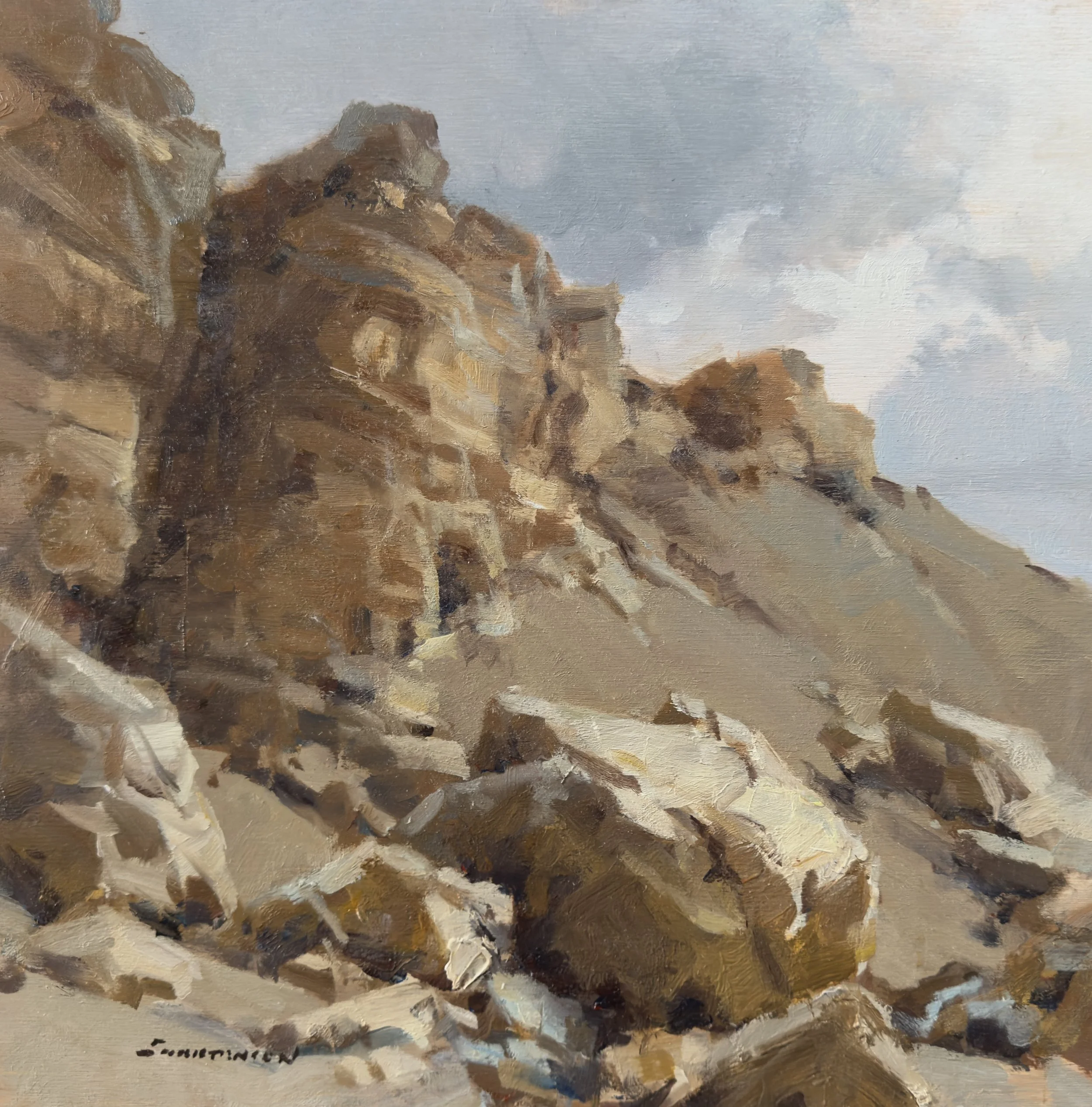 #42 glen canyon rec area 12x12 3,000 oil.jpeg