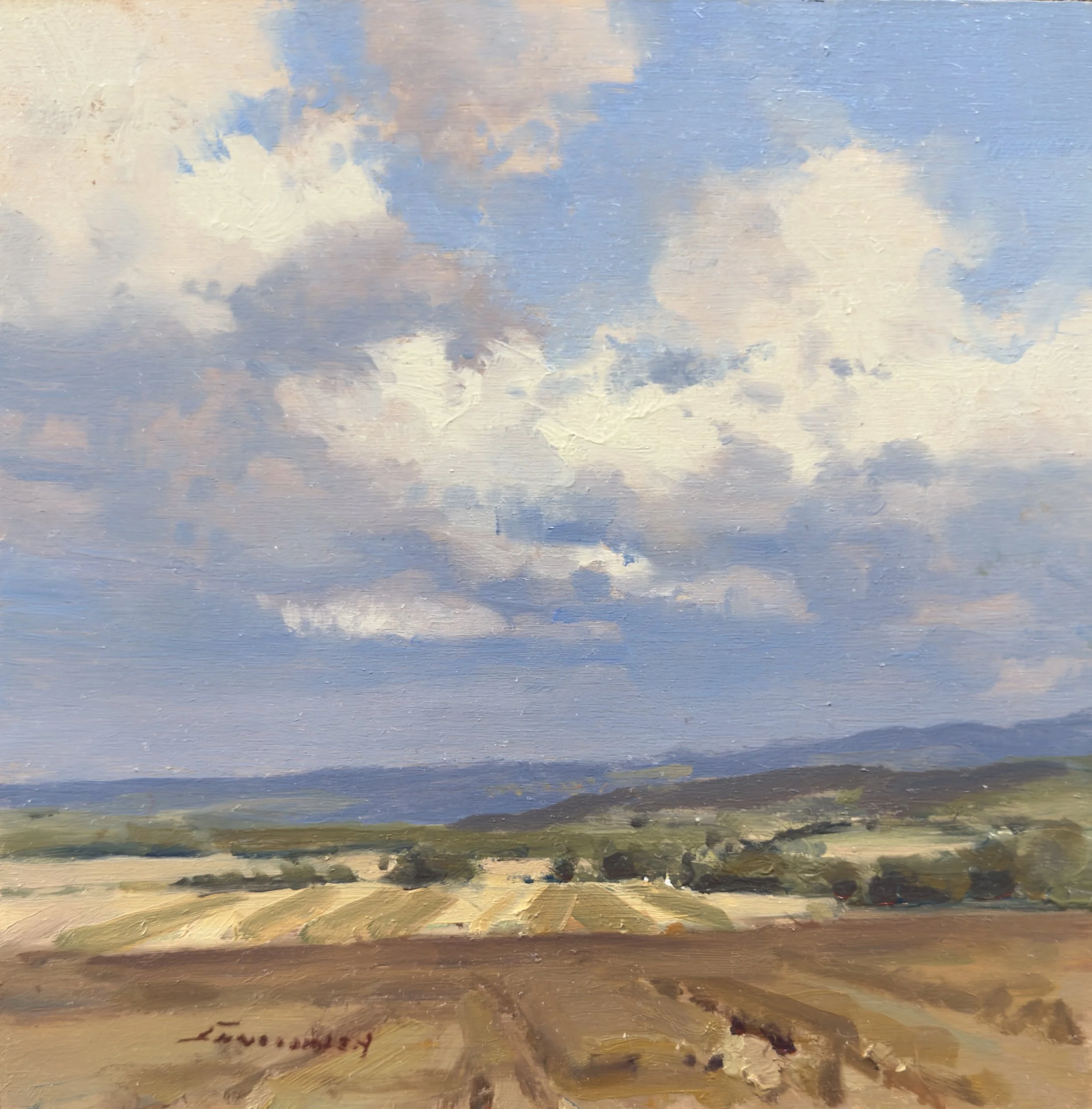 #29 august skies 10x10 $2,300 oil.jpeg