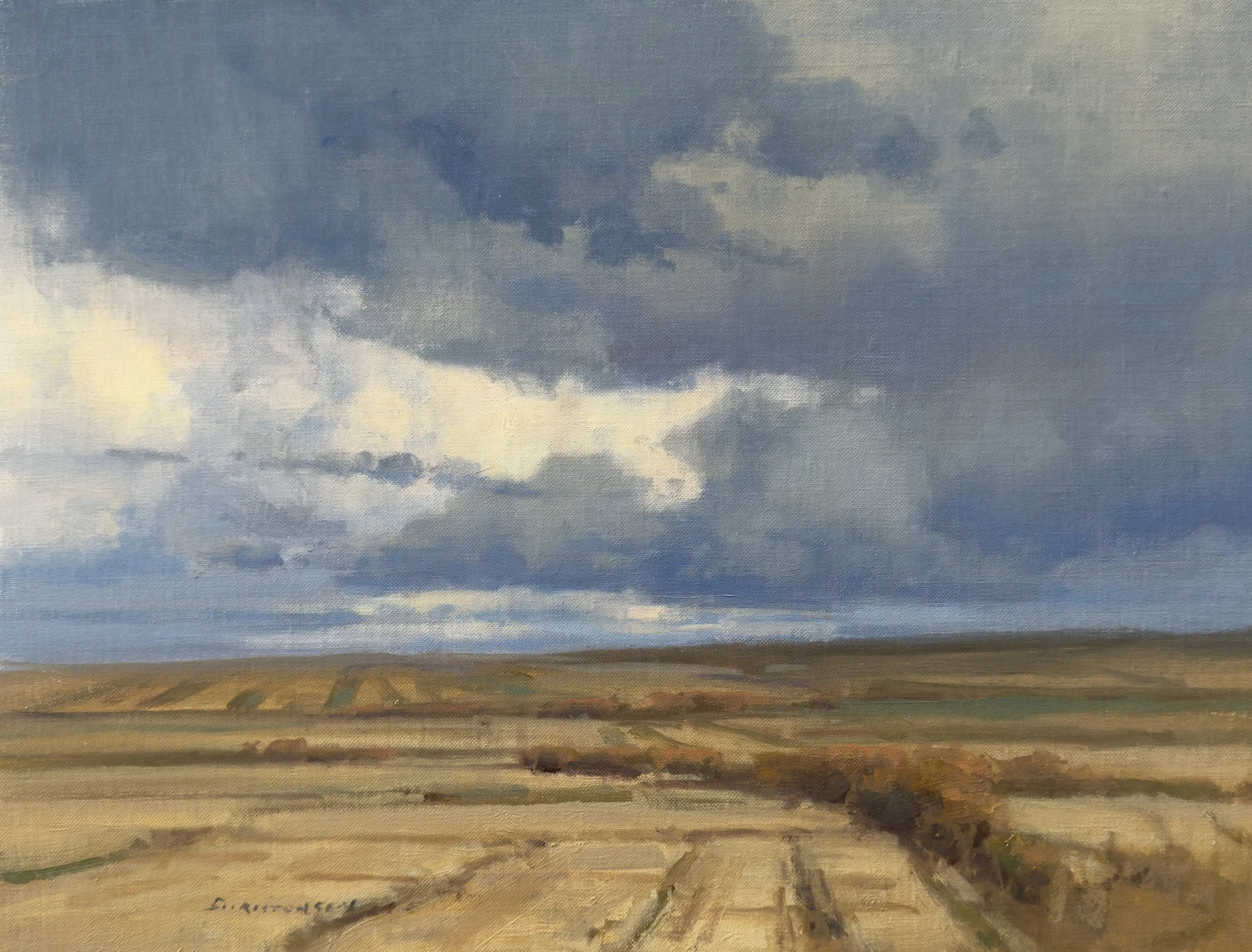 #10 cut fields October 12x16 3,500 oil.jpeg