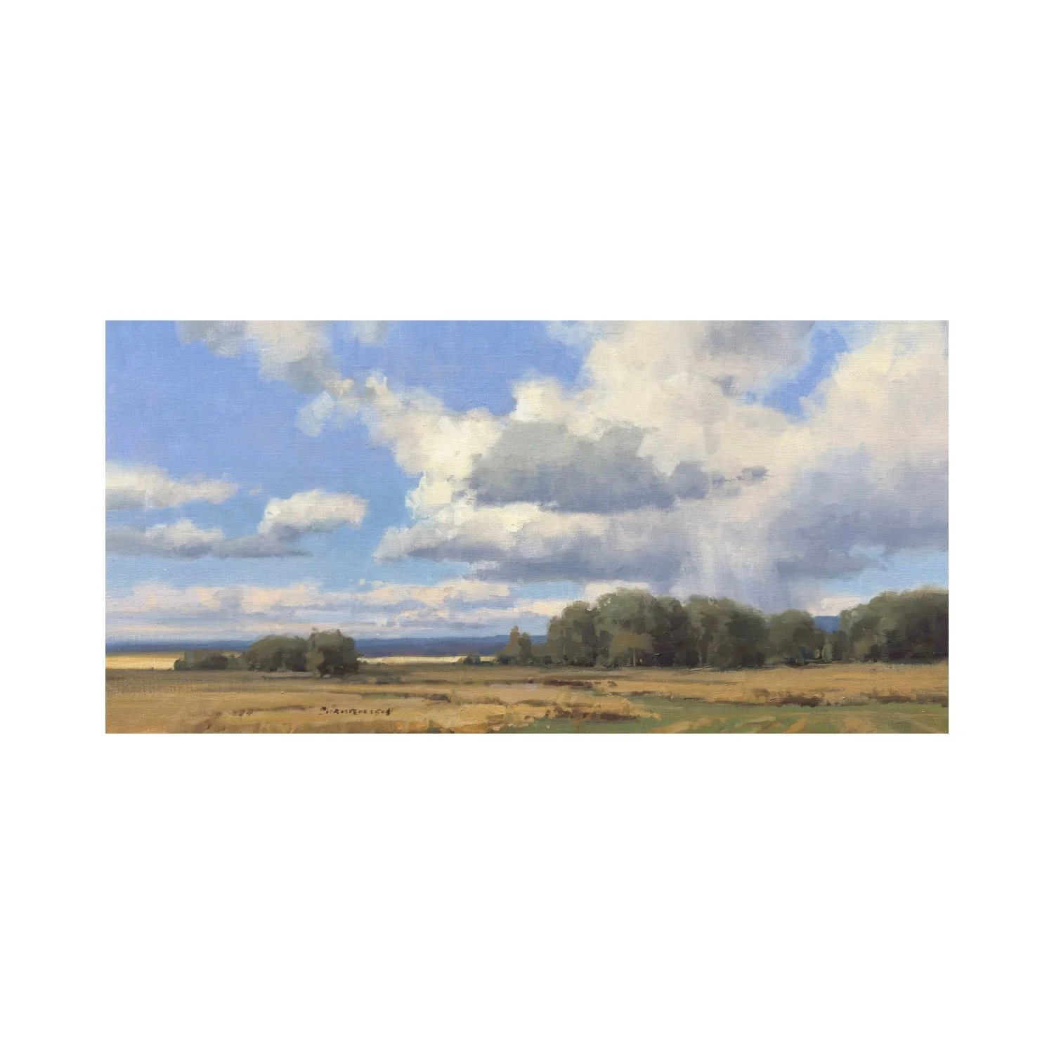 August Skies and Fields