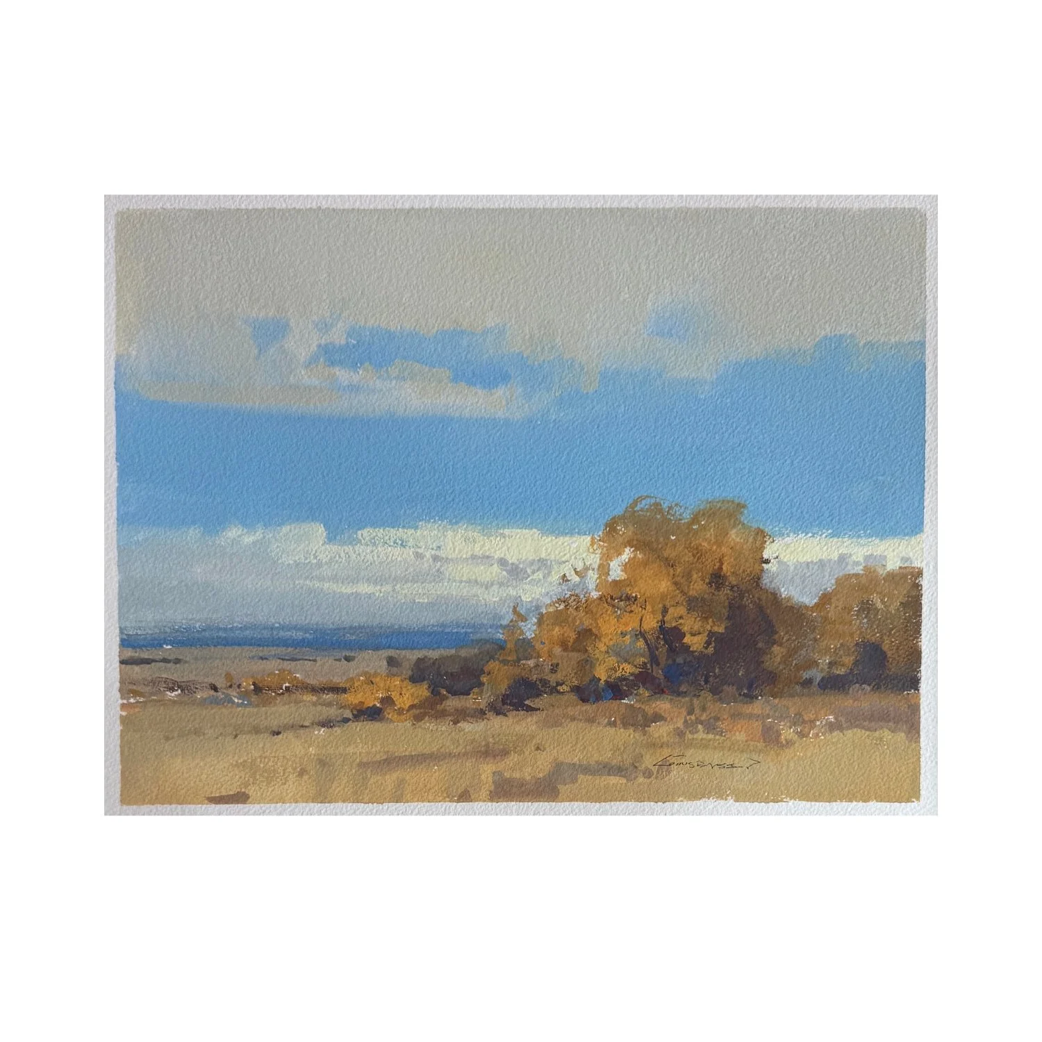 Between Land and Sky