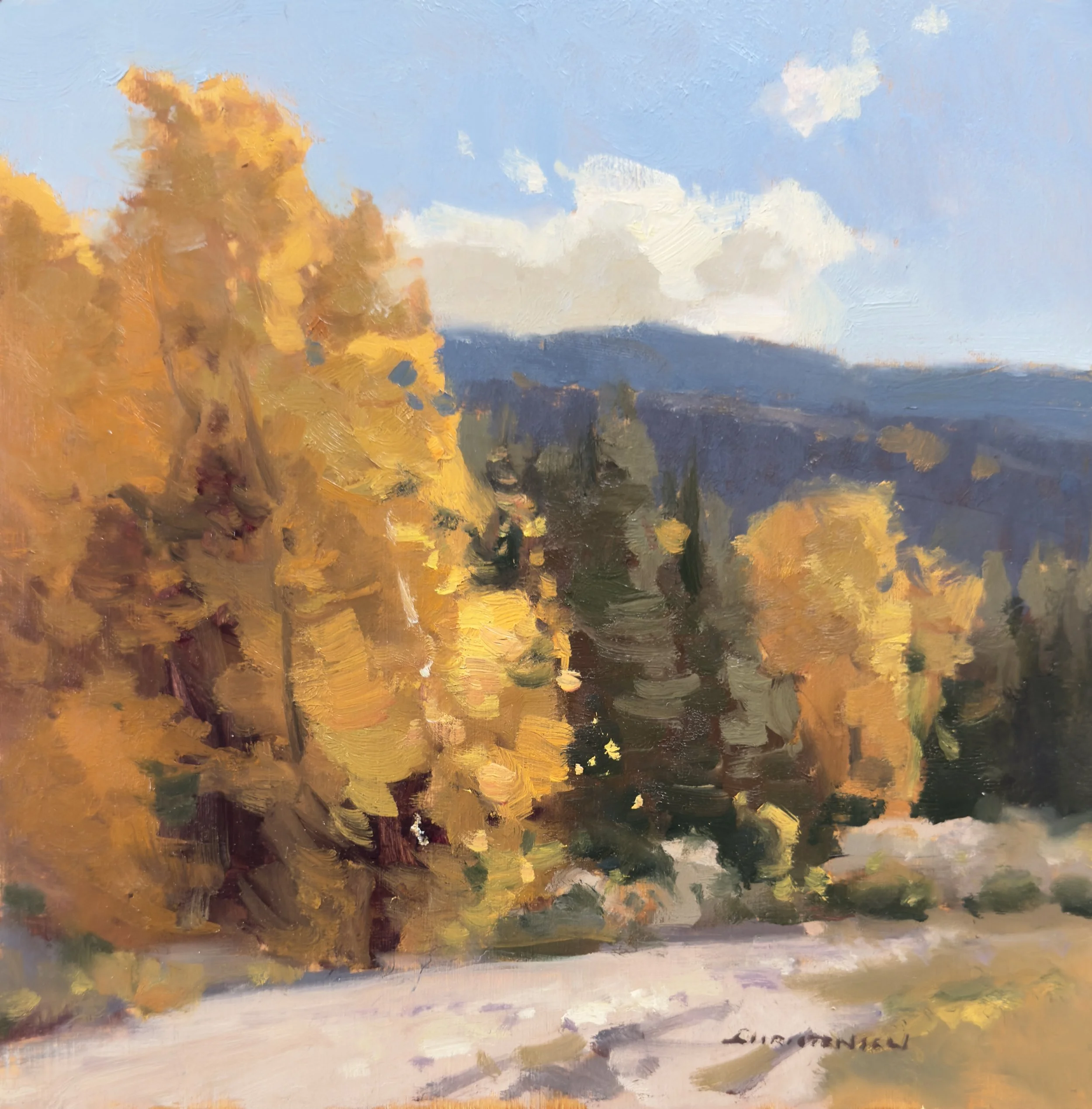 #21 road to slide lake 10x10 $2,300 oil.jpeg