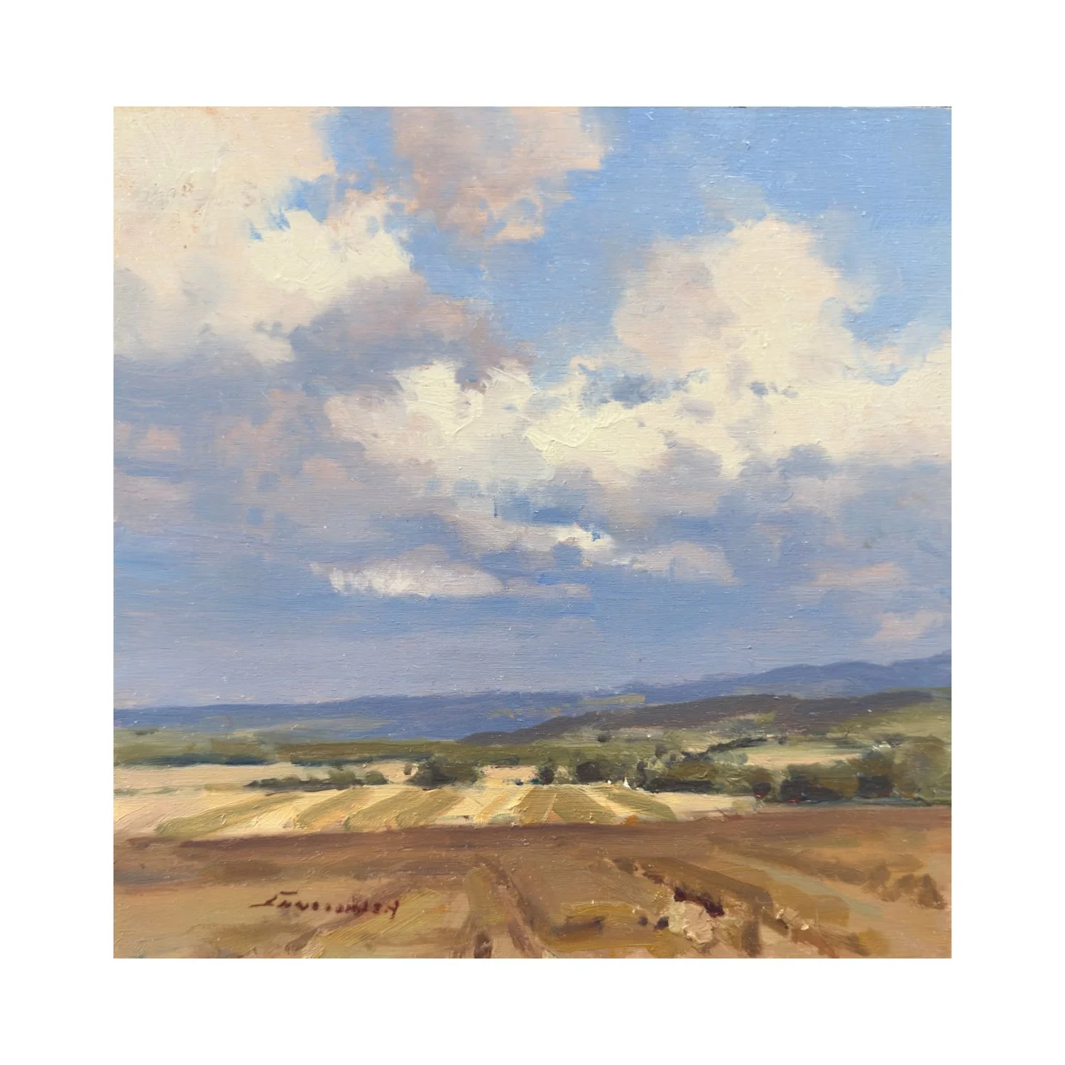 August Skies