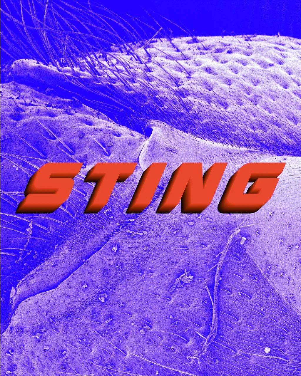 Sting Instalment 2