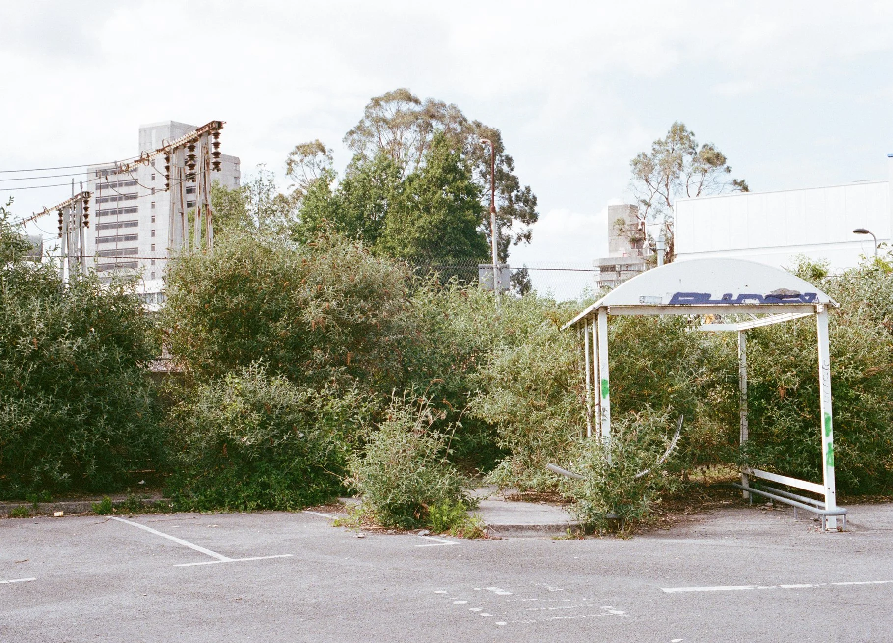 Becki Needham | Photographer/Educator | @beckineedham