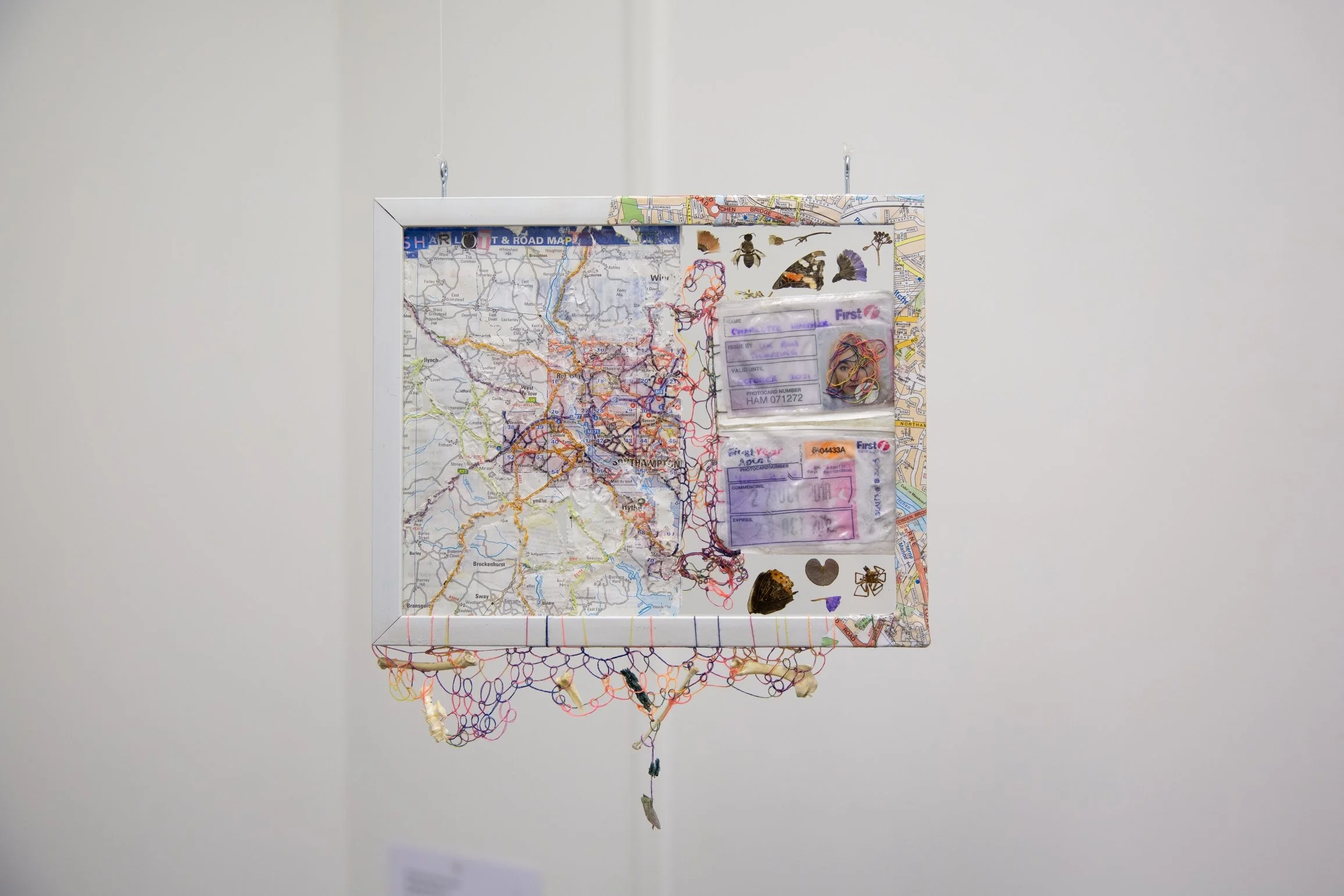 Mapping Memories, Sharlott Wardner