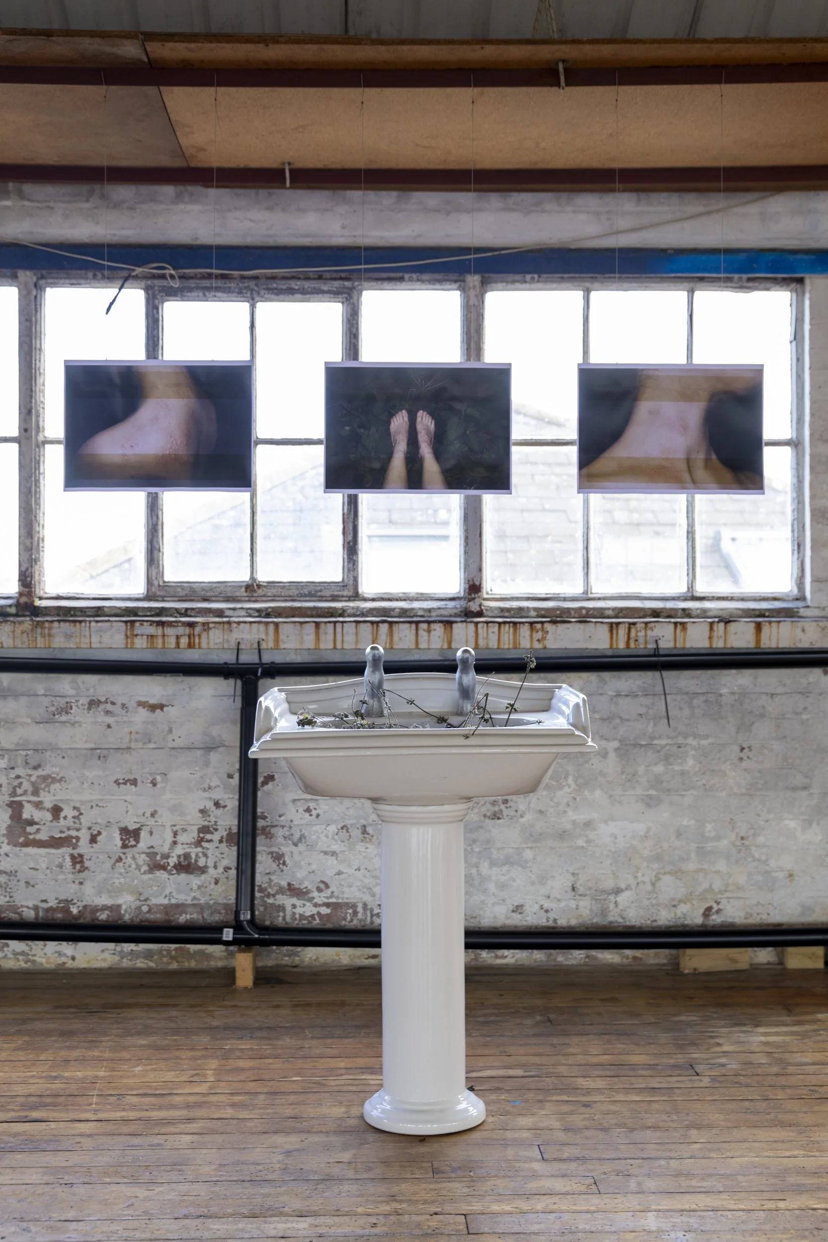 SINK (The Nettle Effect), Agáta Zimová. Photo by Luke Shears