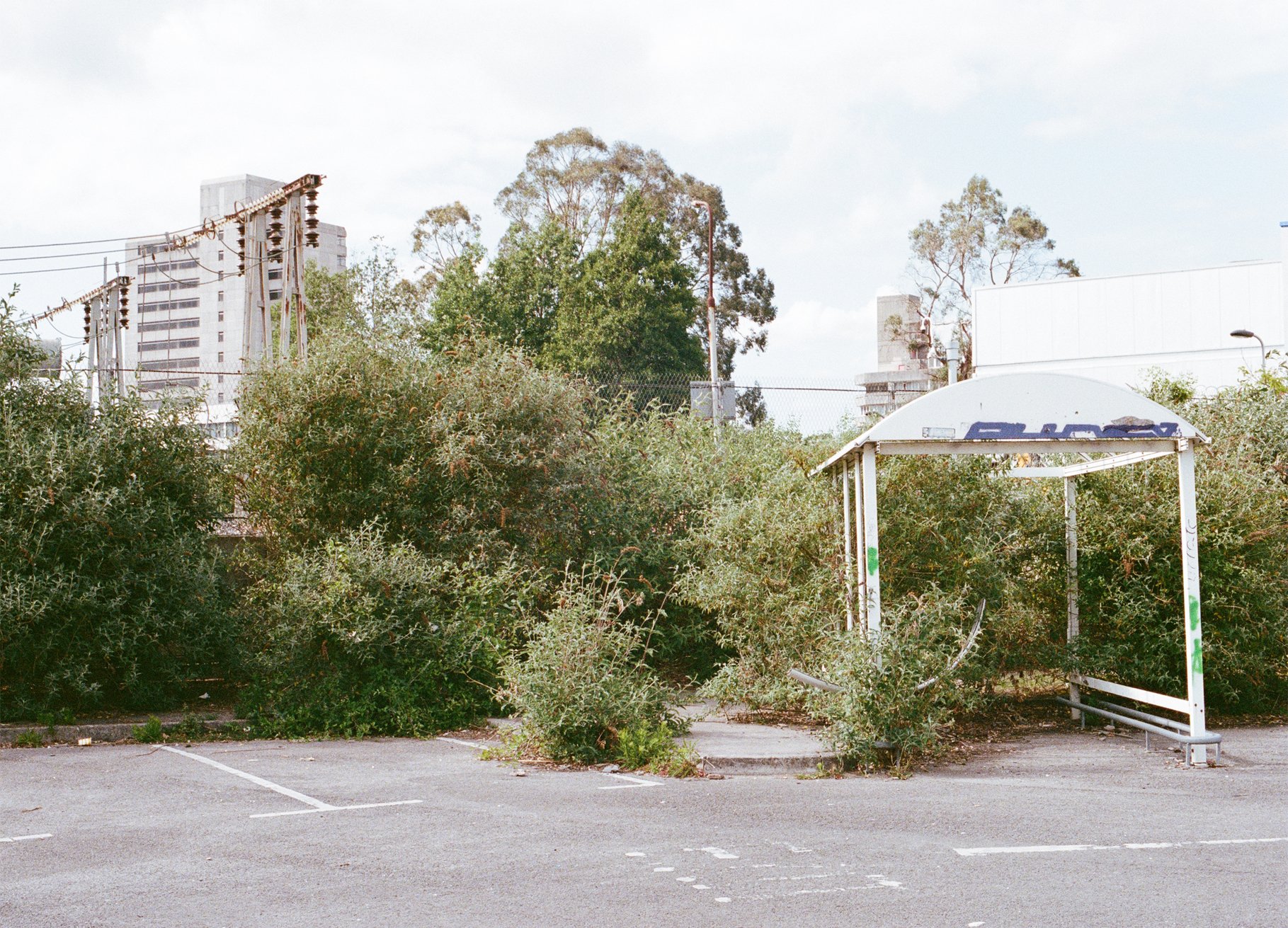 Becki Needham | Photographer/Educator | @beckineedham