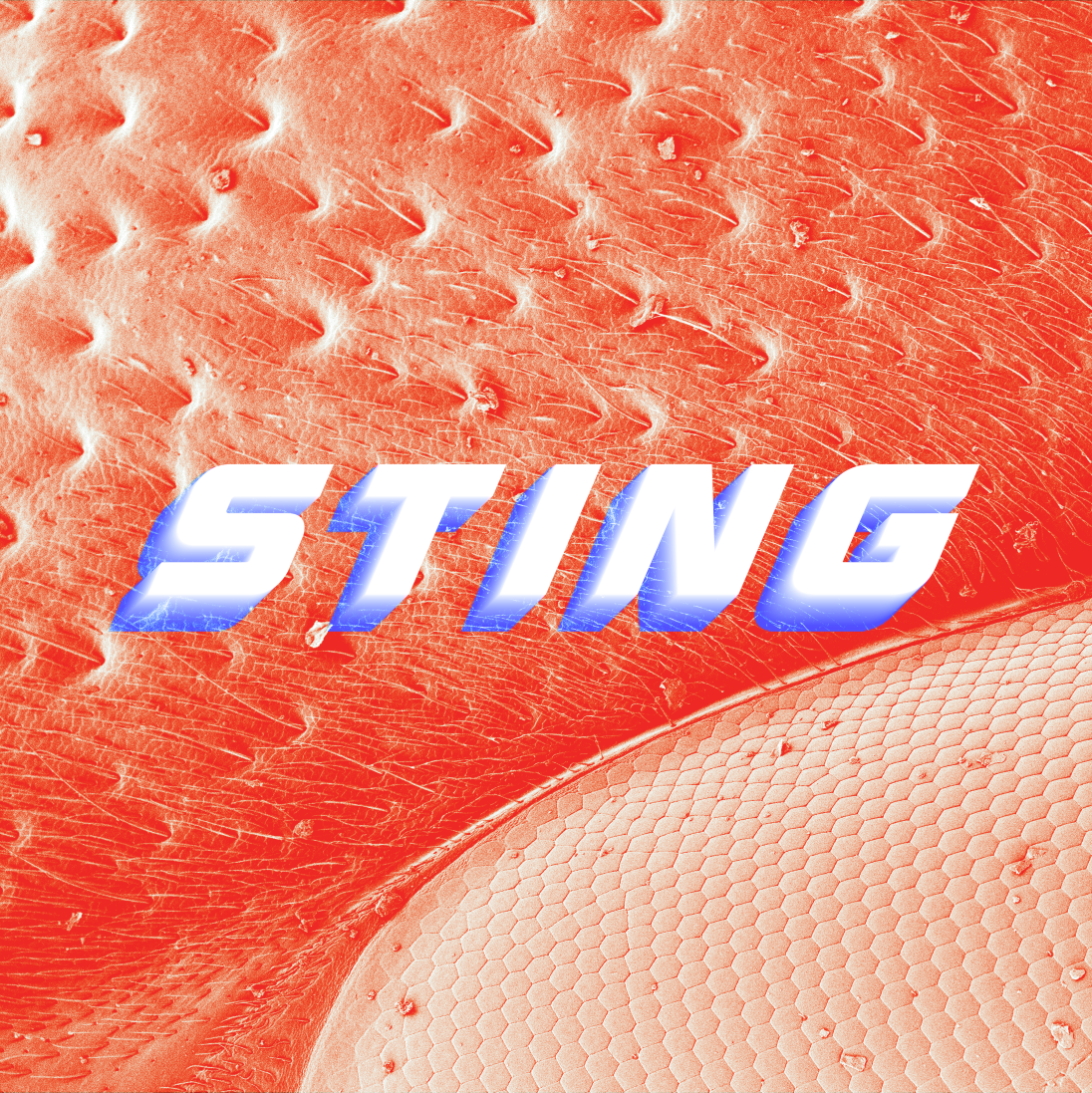 Sting Instalment 1