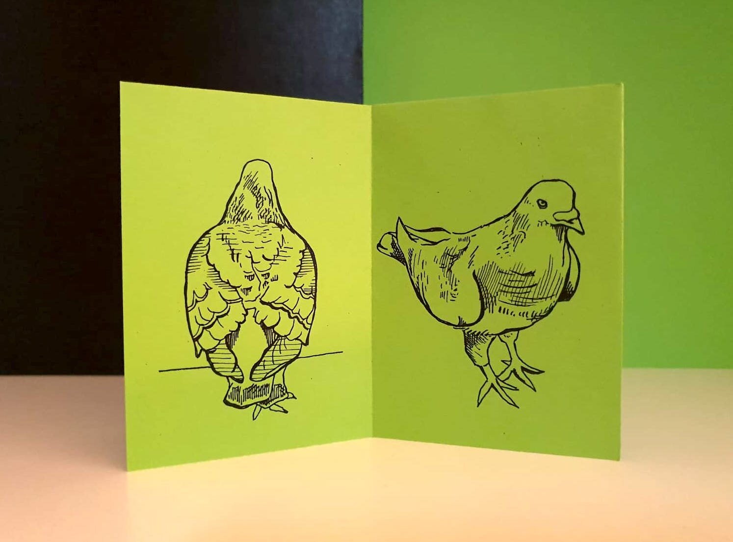 Poppy Ash, Pigeons of Winchester zine.jpeg