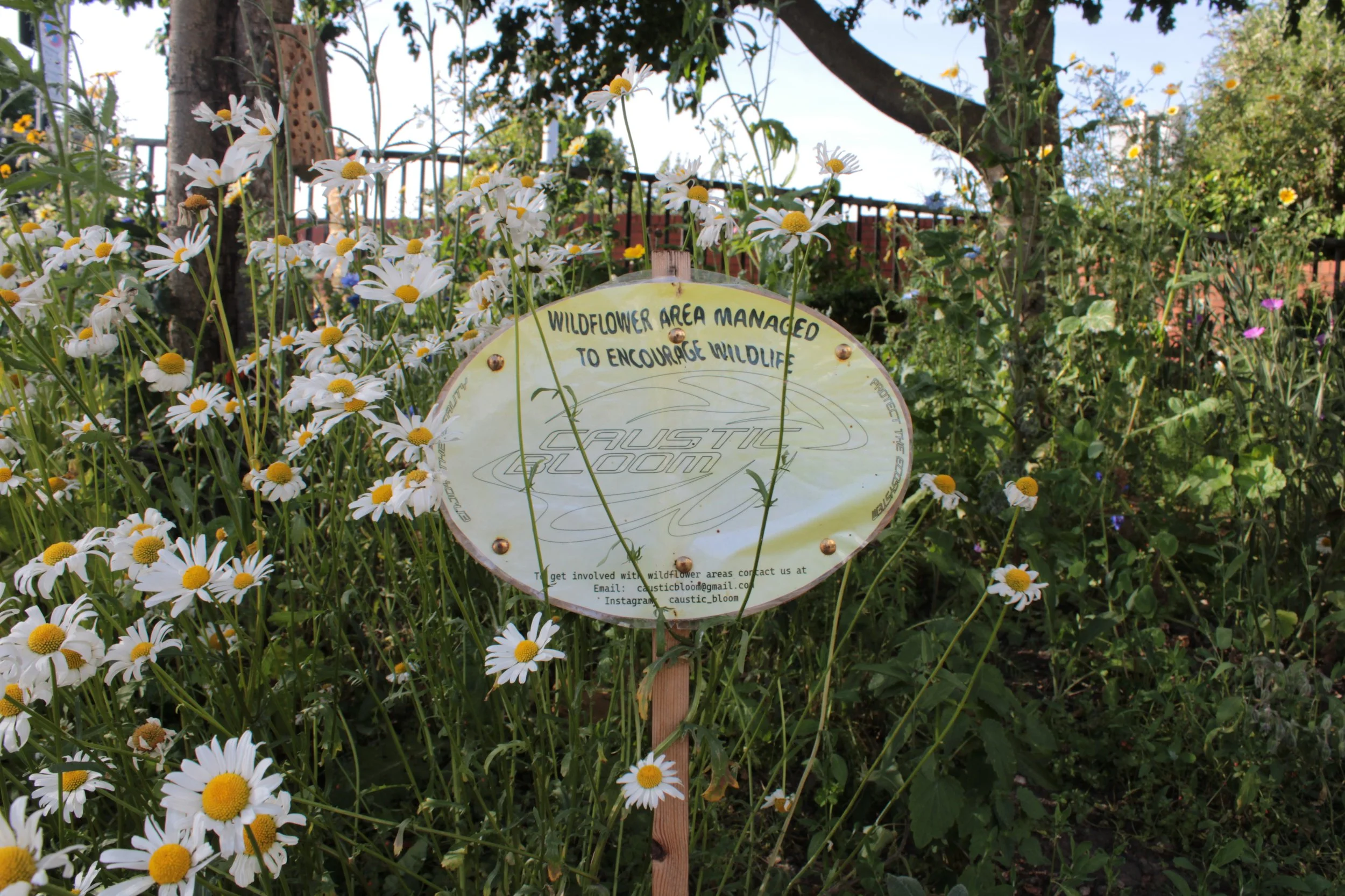 Nature Hubs