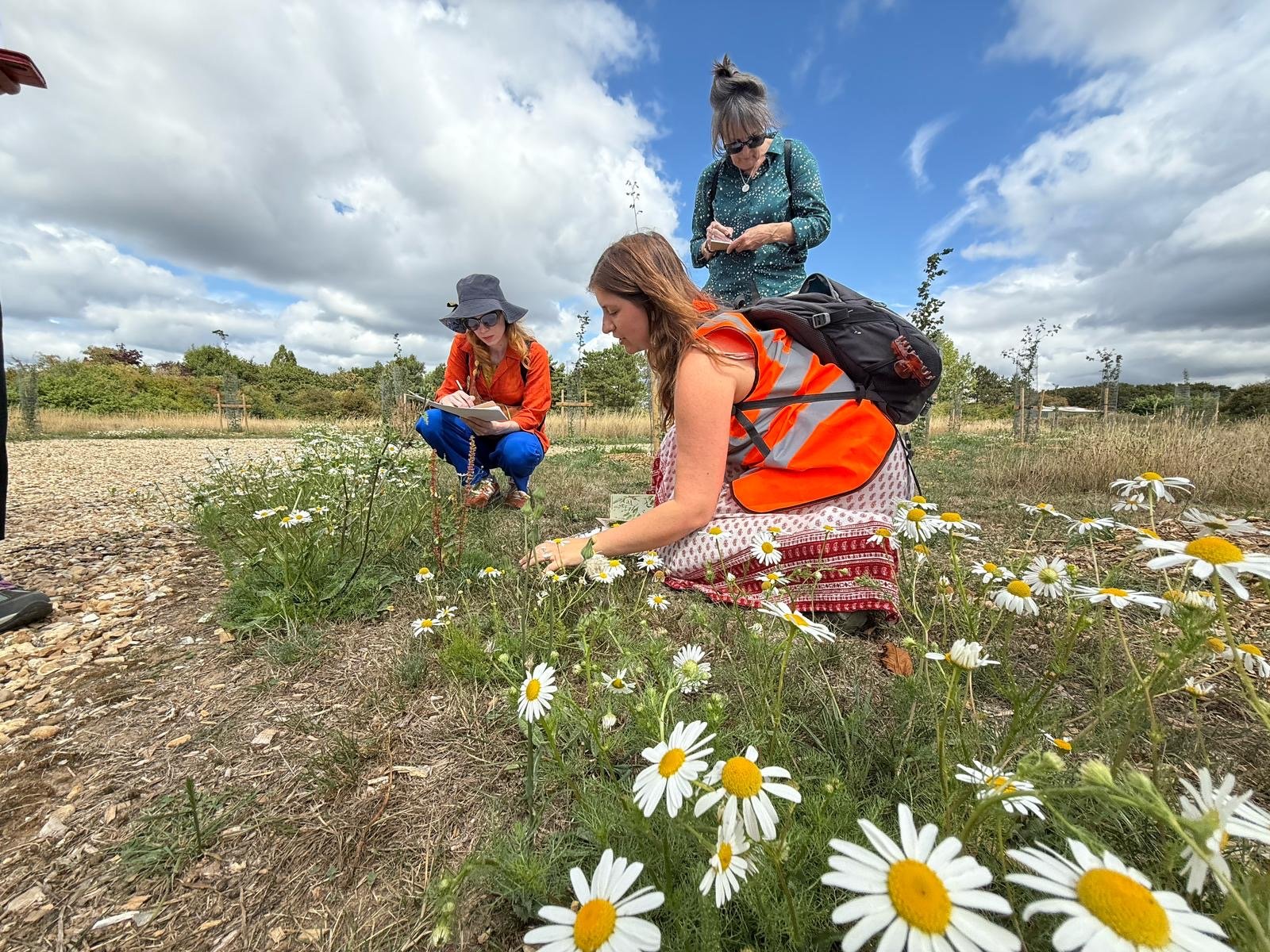 6ece4afc-78ae-446f-b3f9-f1cb1d04c10c 2.JPG