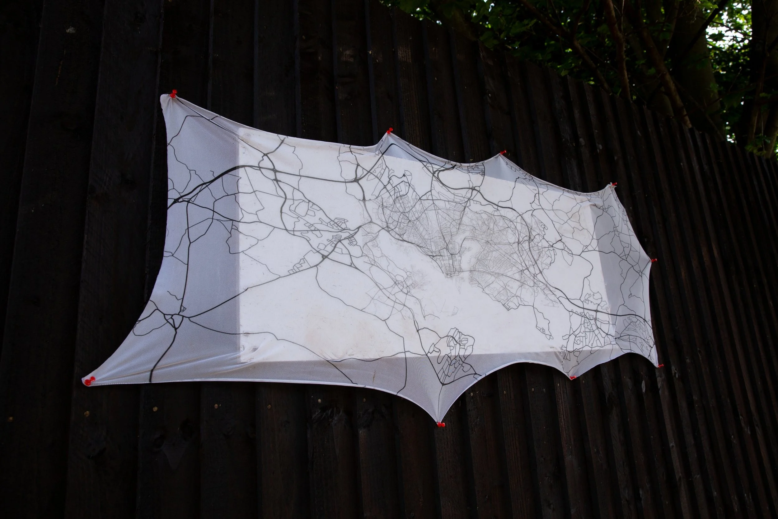 Mappa Mundi, Net Warner