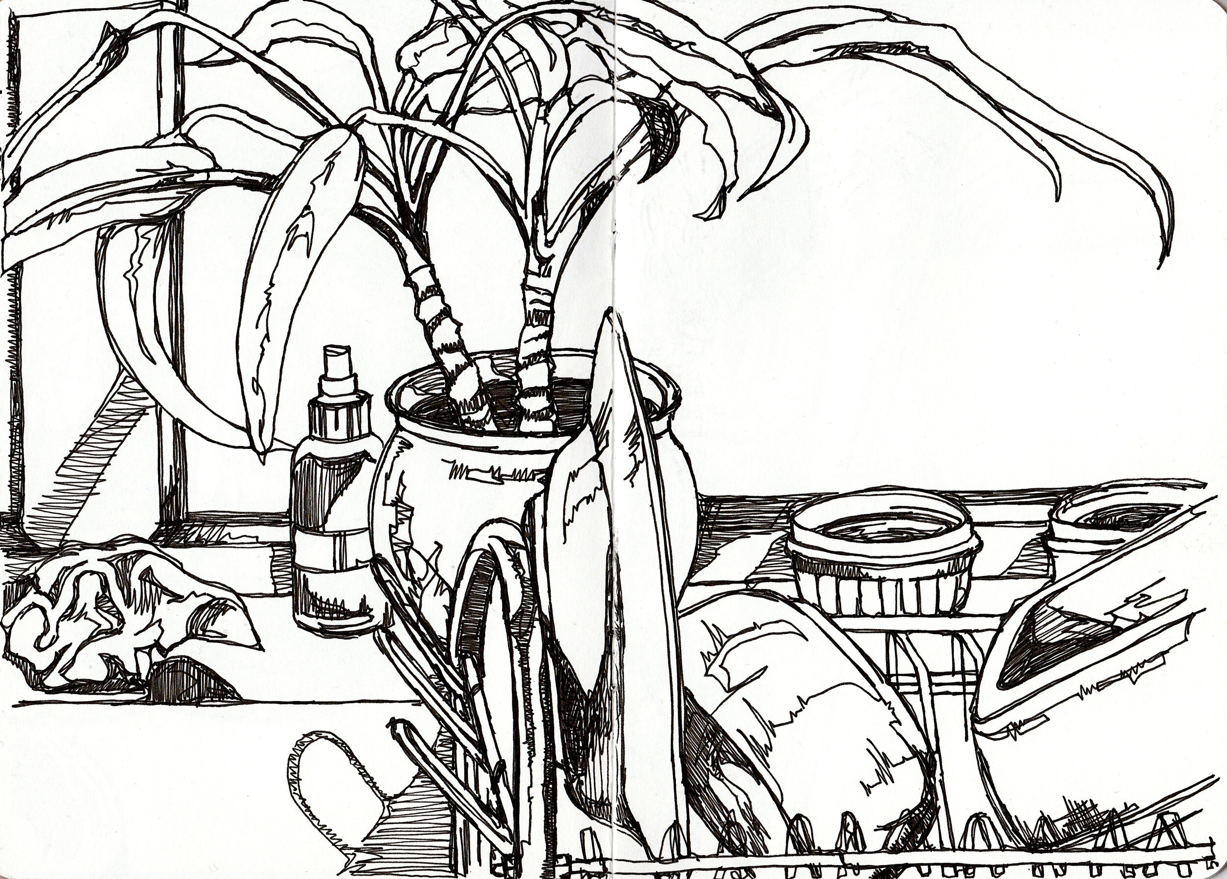 Poppy Ash, Day 6, Continuous Line Drawing.jpg