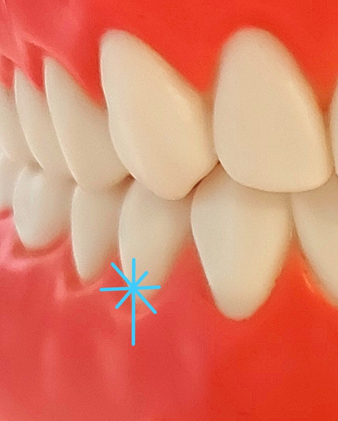 20210728_073325 (1).jpg