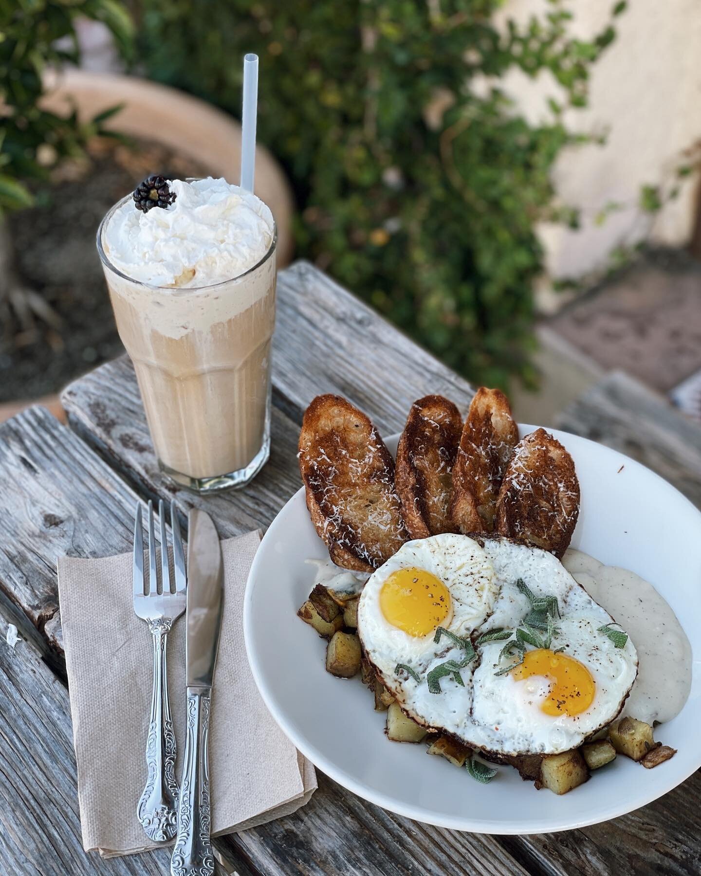 good morning friends, just don&rsquo;t turn your ovens on today and let us do the cooking, okay?🌞 we&rsquo;ll fill your belly and soul with our September specials like the sassquash. it&rsquo;s a roasted summer squash and potato hash, bechamel, sunn