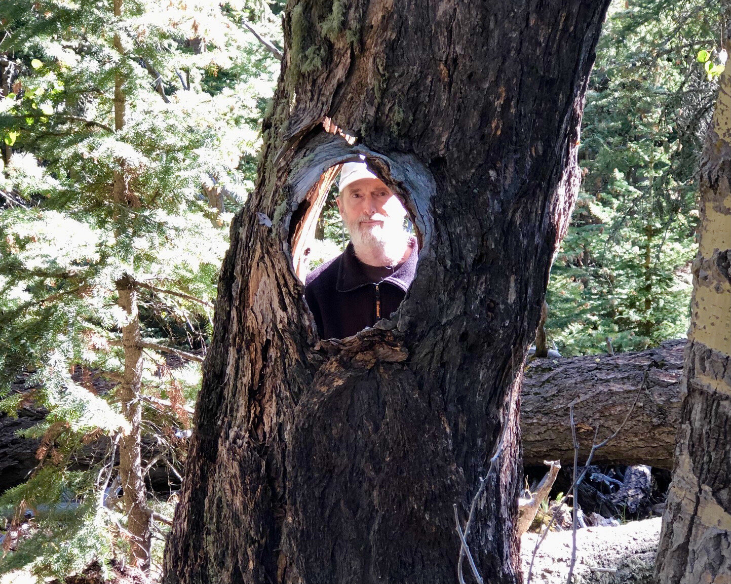 Looking through the lens of nature.