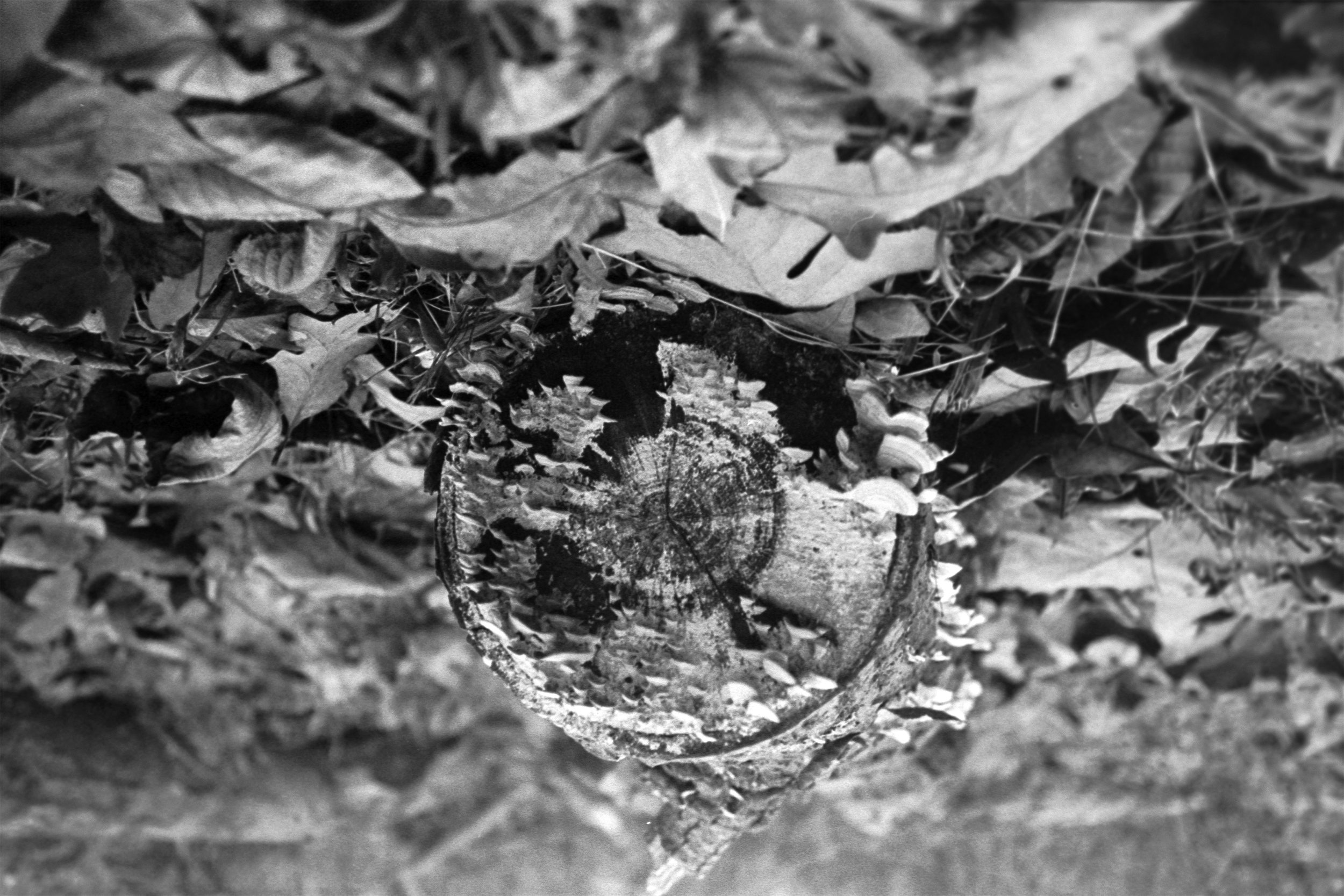 Healing Together_A Journey of Ten Black Women_02.jpg