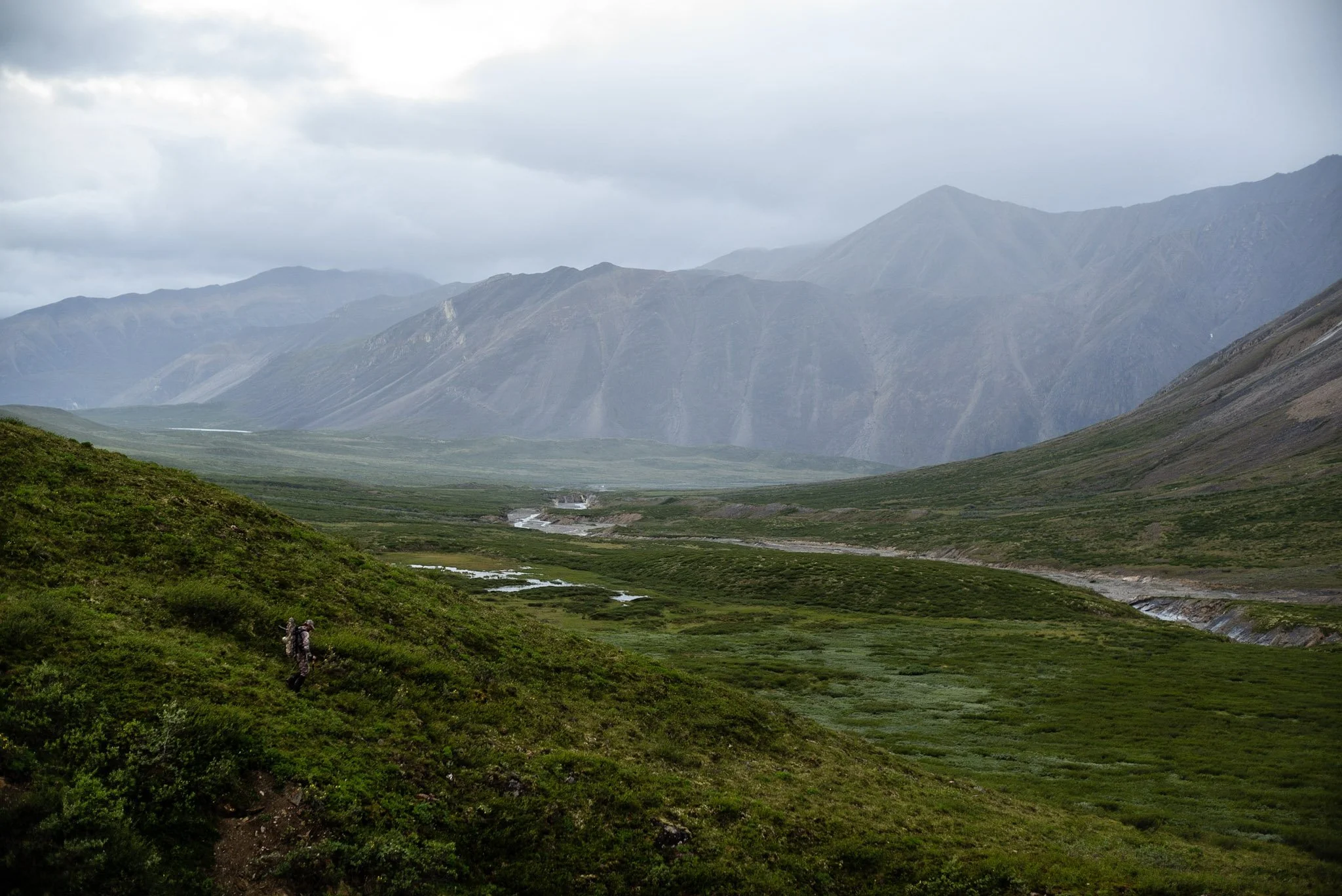 L1005646.jpg