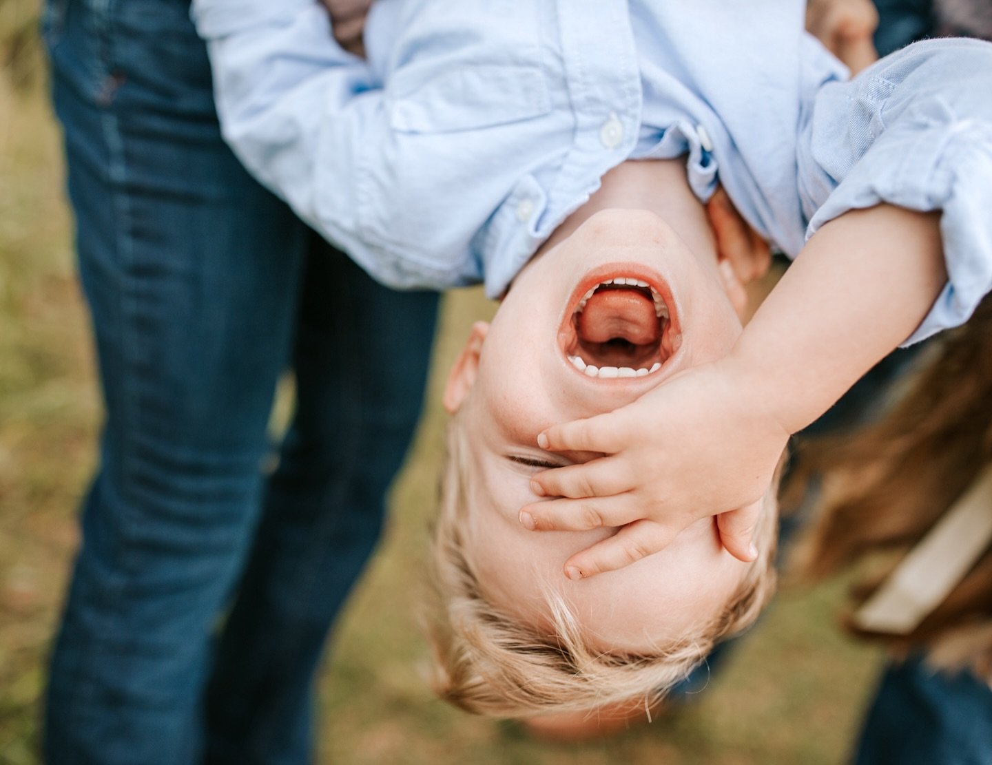 Me thinking about how much editing I have to get through this week!
.
#busyseason #fallfamilyphotos #photographer #photographerlife #northcarolina #apexfamilyphotographer
