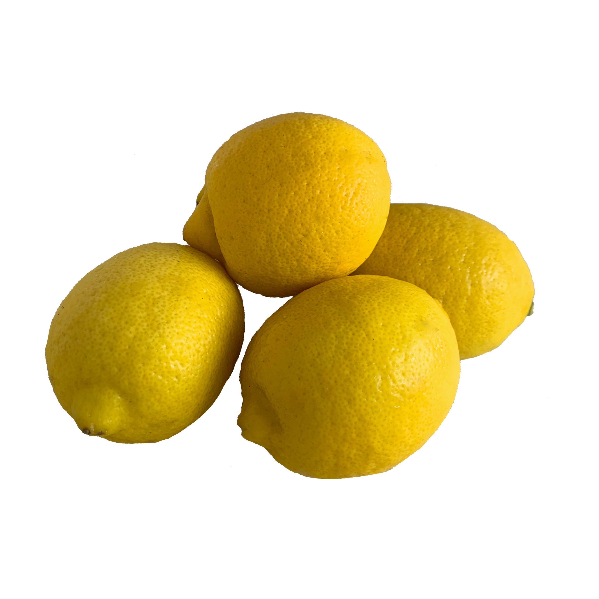 21768- Fancy Lemons