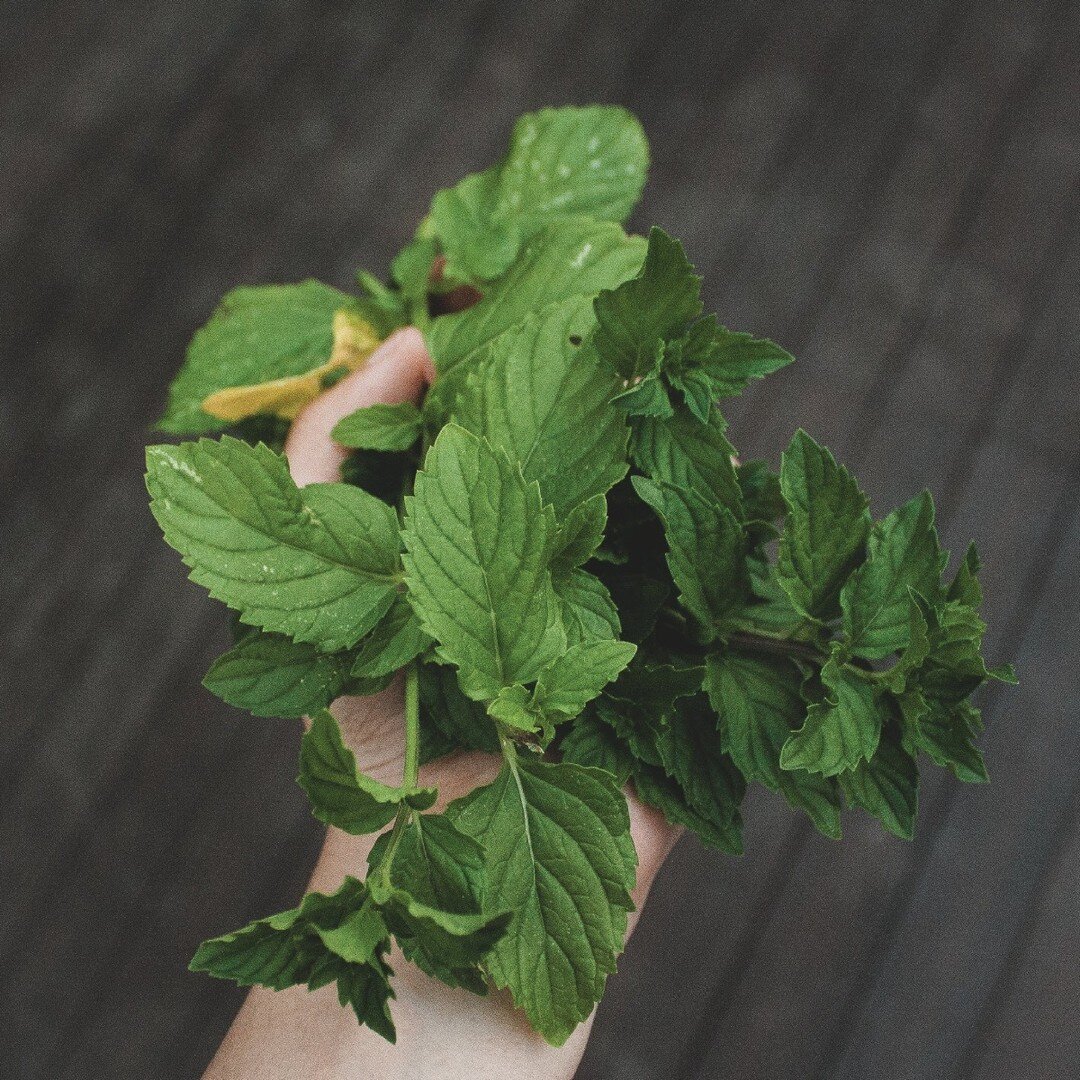 Fresh Herbs are essential for delicious and memorable spring salads. Ask your Sales Rep about our options, or head to the website to see our current product listing!