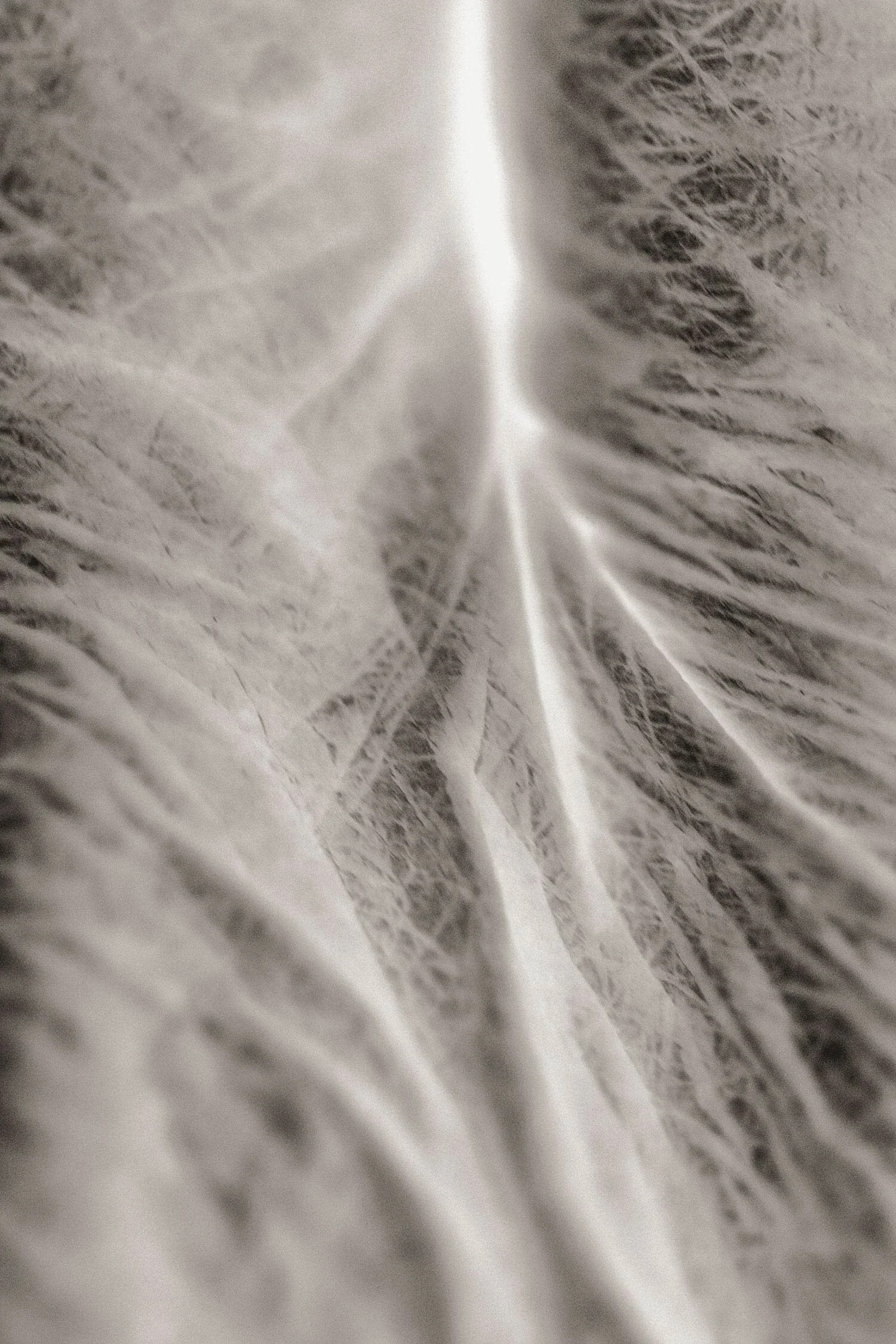 Passing Away #160, 2010, 36 X 24"