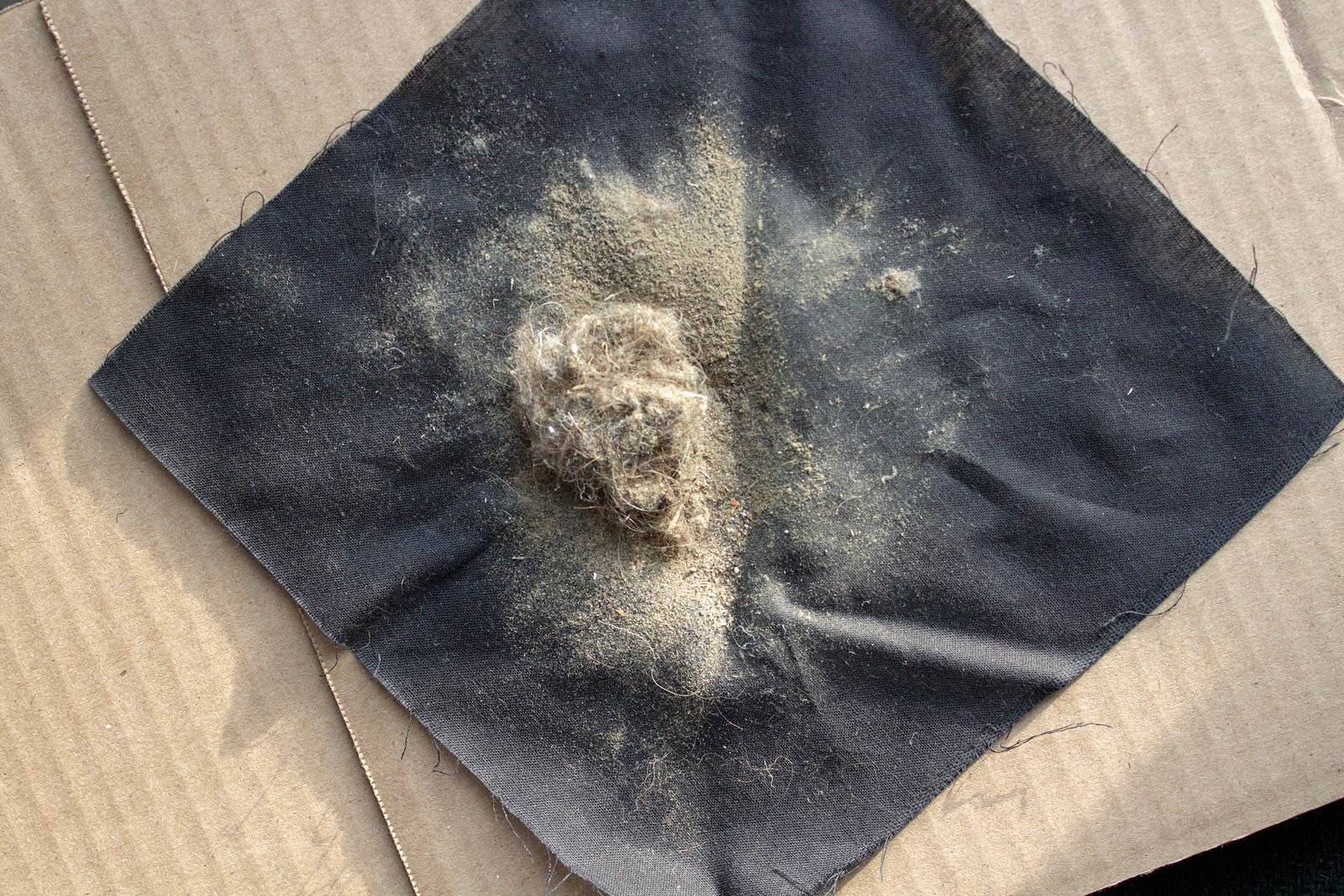 Rug, 2019, 6 x 9"