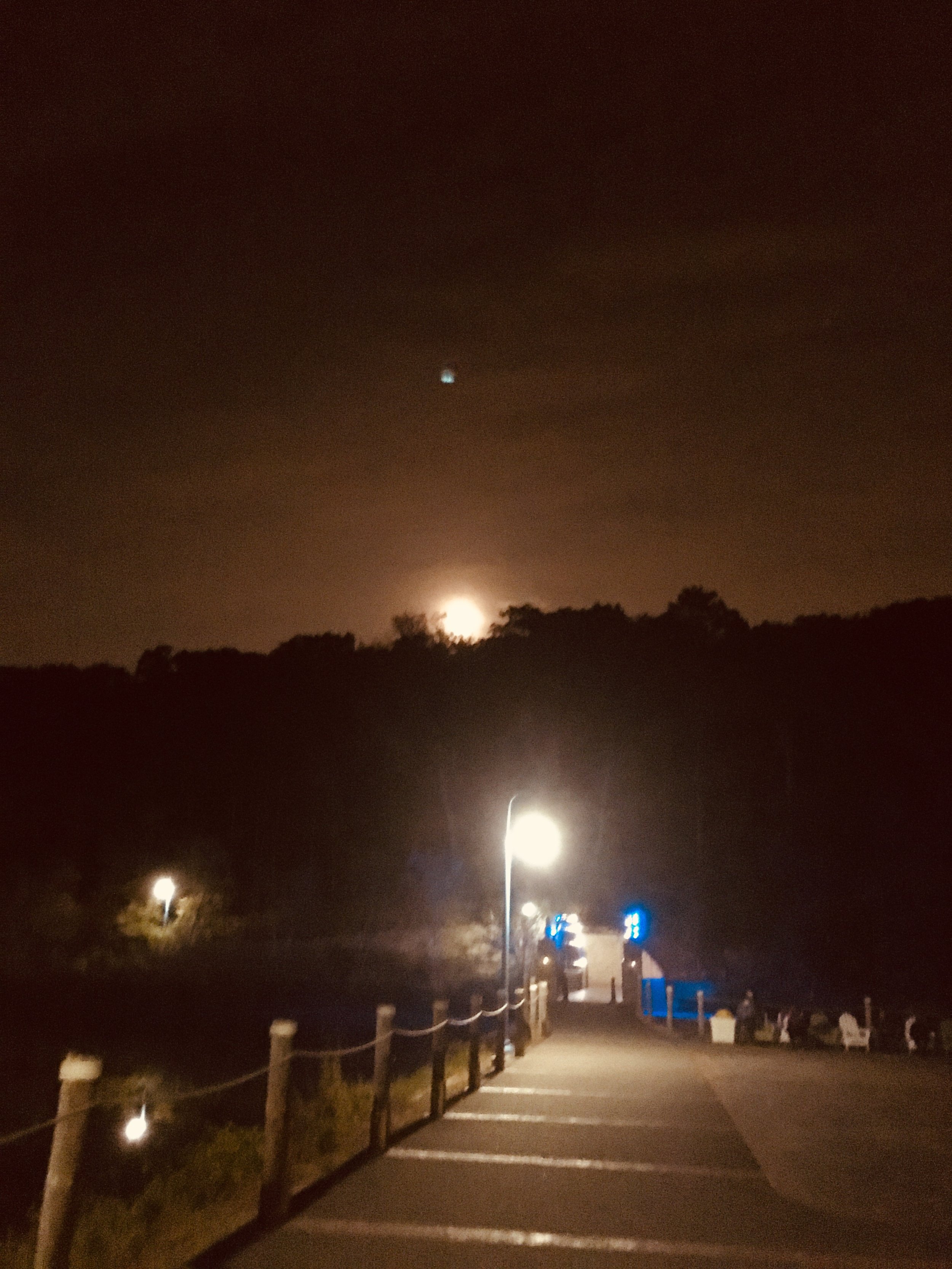Dimly lit pathway with streetlights, silhouetted trees, and glow from the horizon at night.