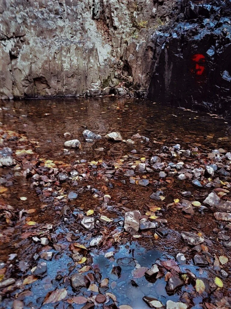 Rocky stream with fallen leaves and steep stone walls