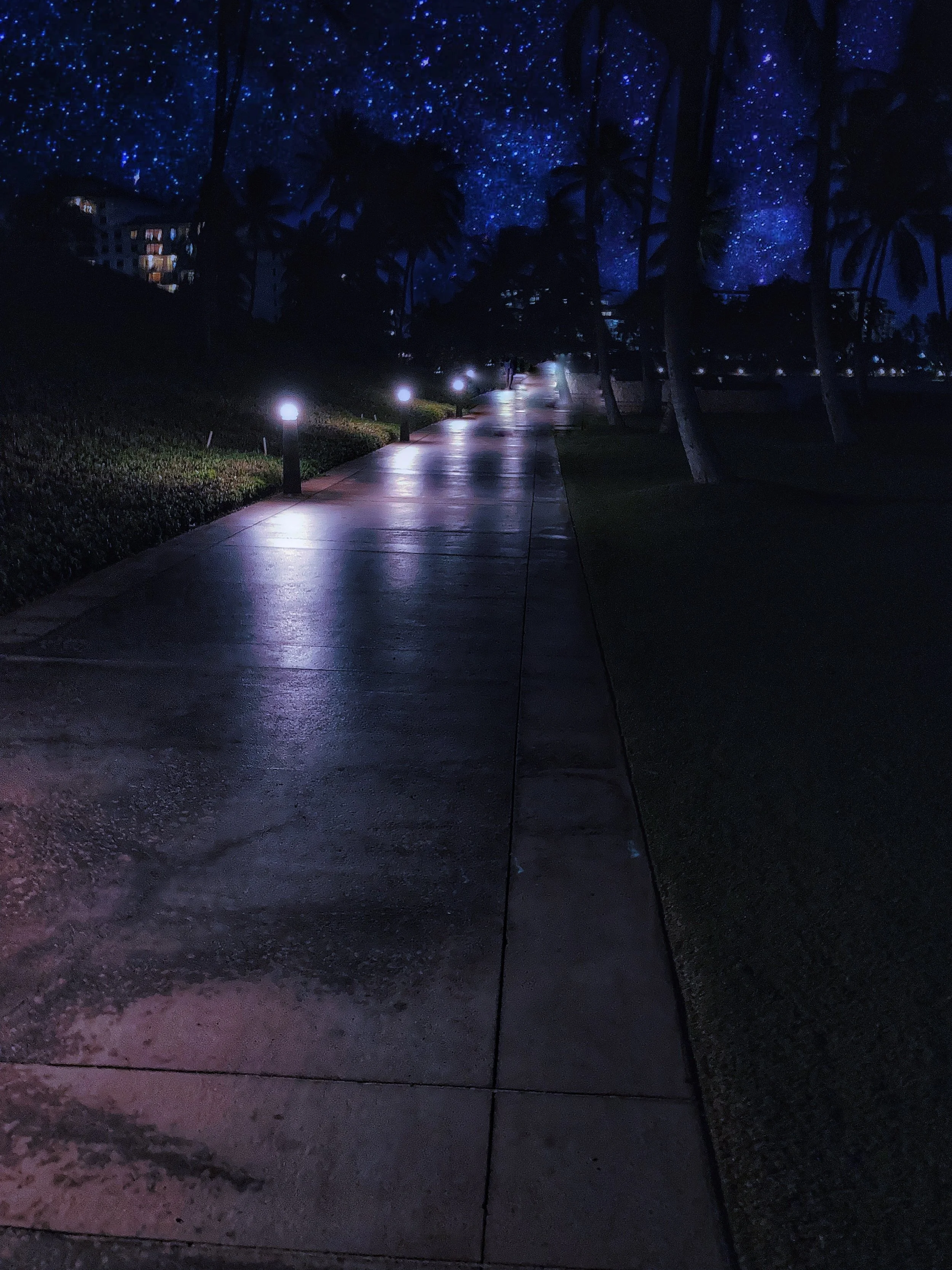 Night scene of a paved path illuminated by streetlights, with palm trees on the side and a star-filled sky overhead.
