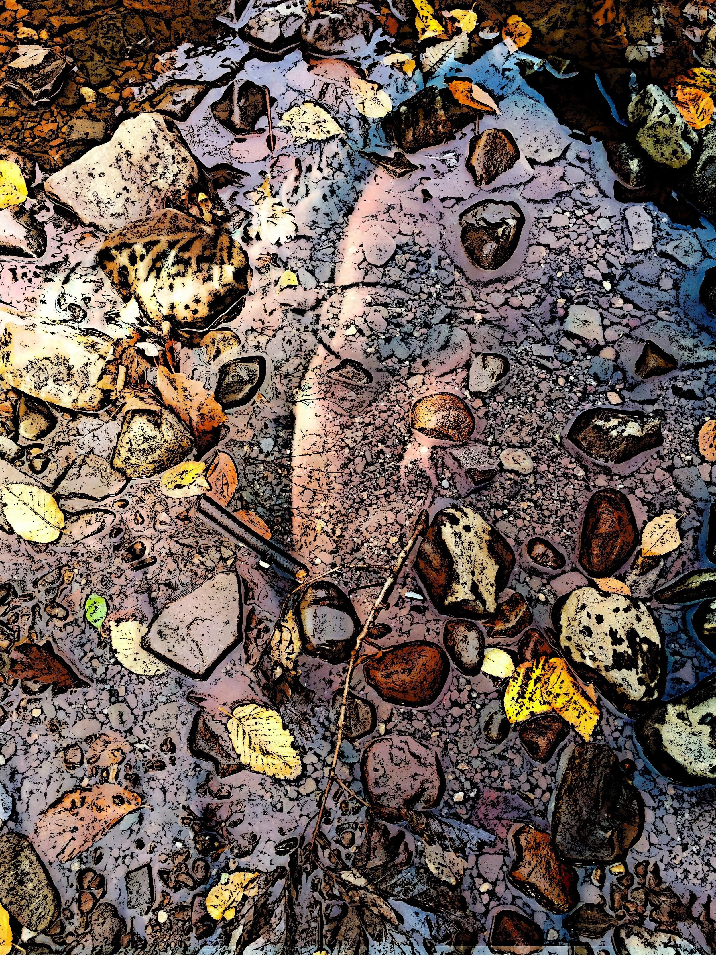 Colorful art depicting rocks and leaves in a puddle