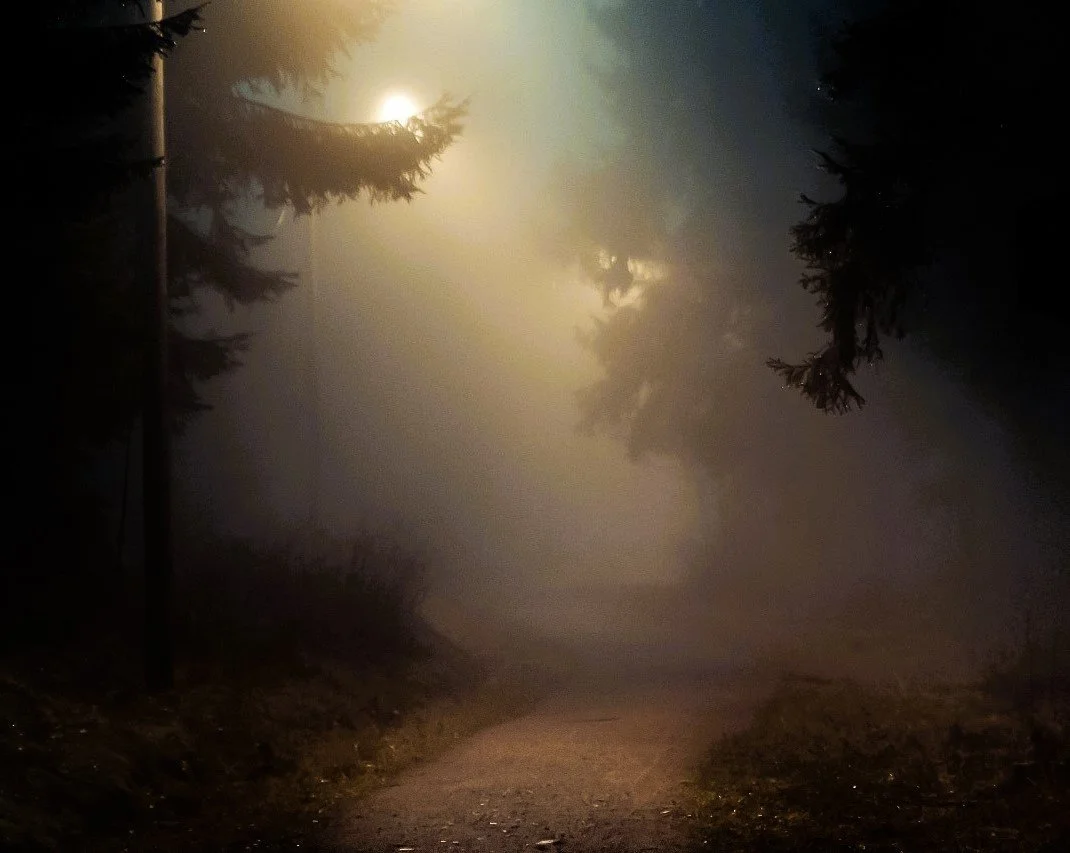 Foggy night scene on a dimly lit path with street lamp and silhouetted trees.