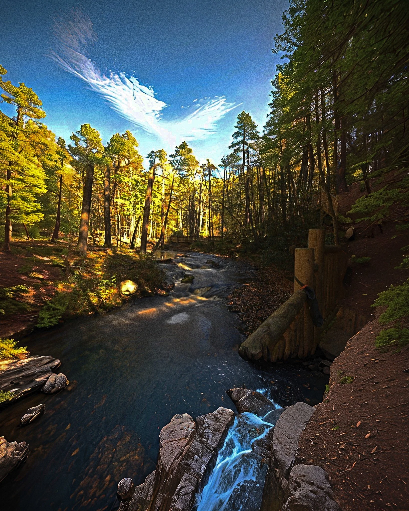 Scenic forest with a small waterfall and river, surrounded by tall green trees under a blue sky with white clouds.