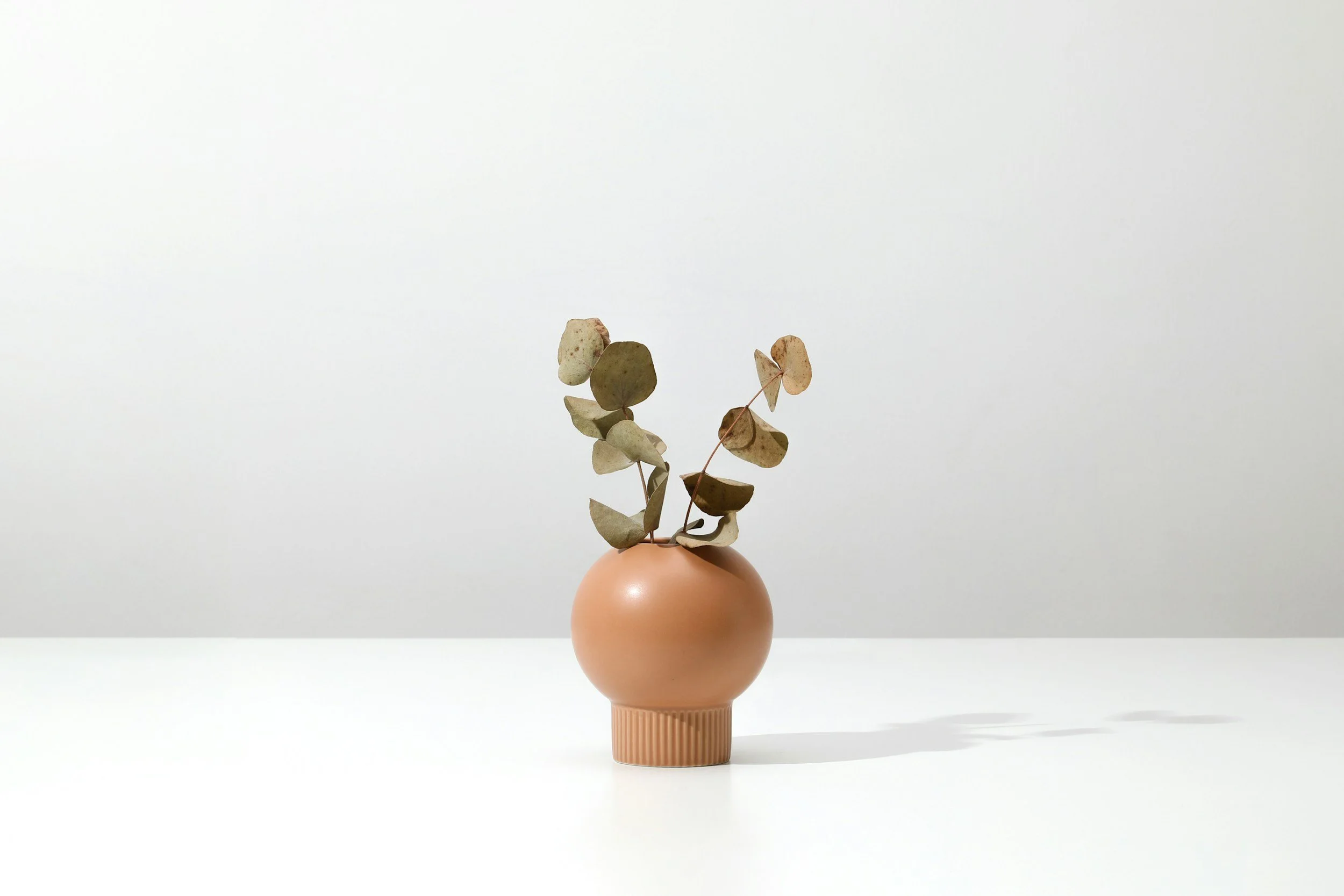 A beige round ceramic vase with ridges at the base, holding dried eucalyptus branches, placed on a white surface against a plain light gray background.