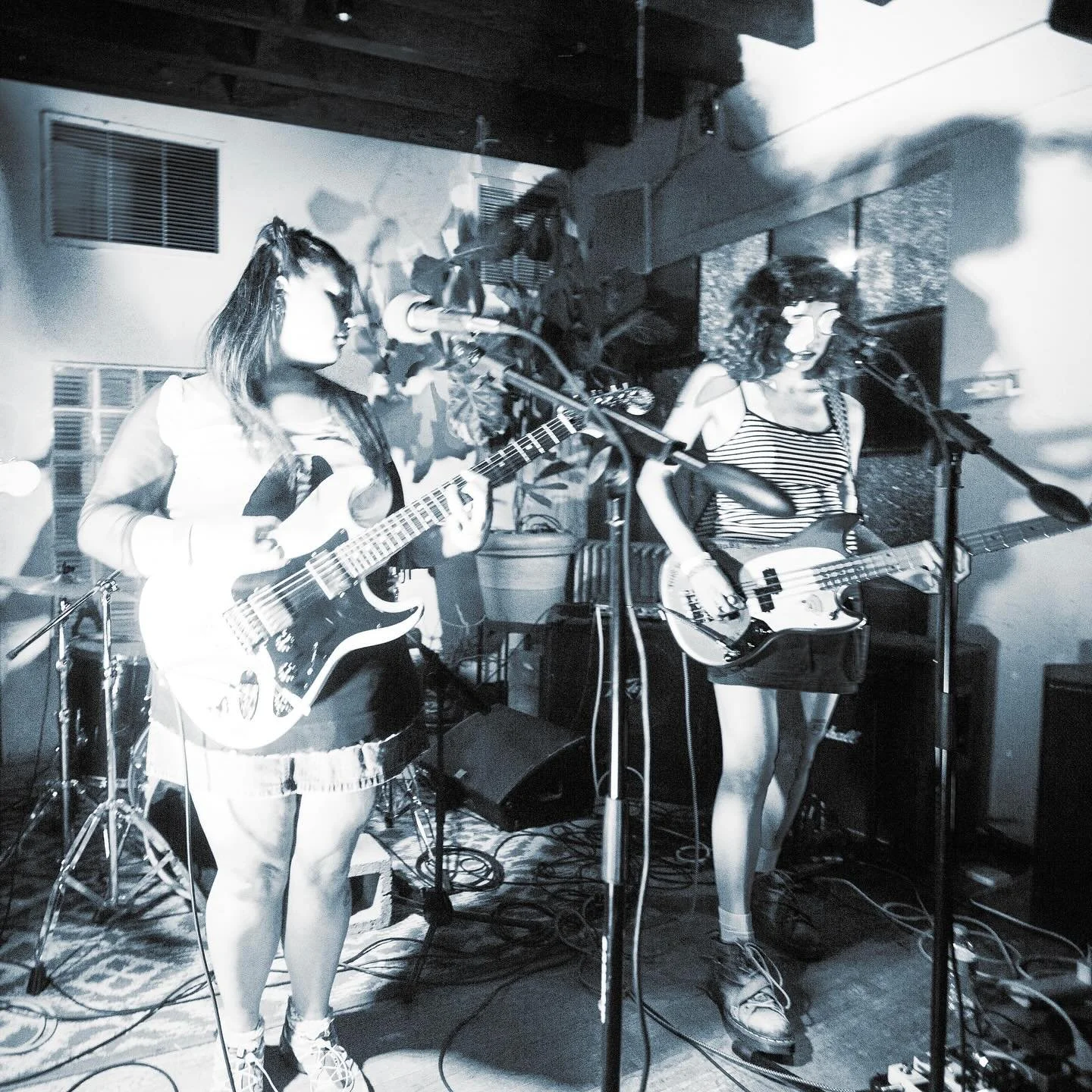 playing at trans-pecos on August 6th w/ Parlor Hour and Bounty .. we would suggest coming! Tickets in bio π£ 
πΈ @taiiuiah