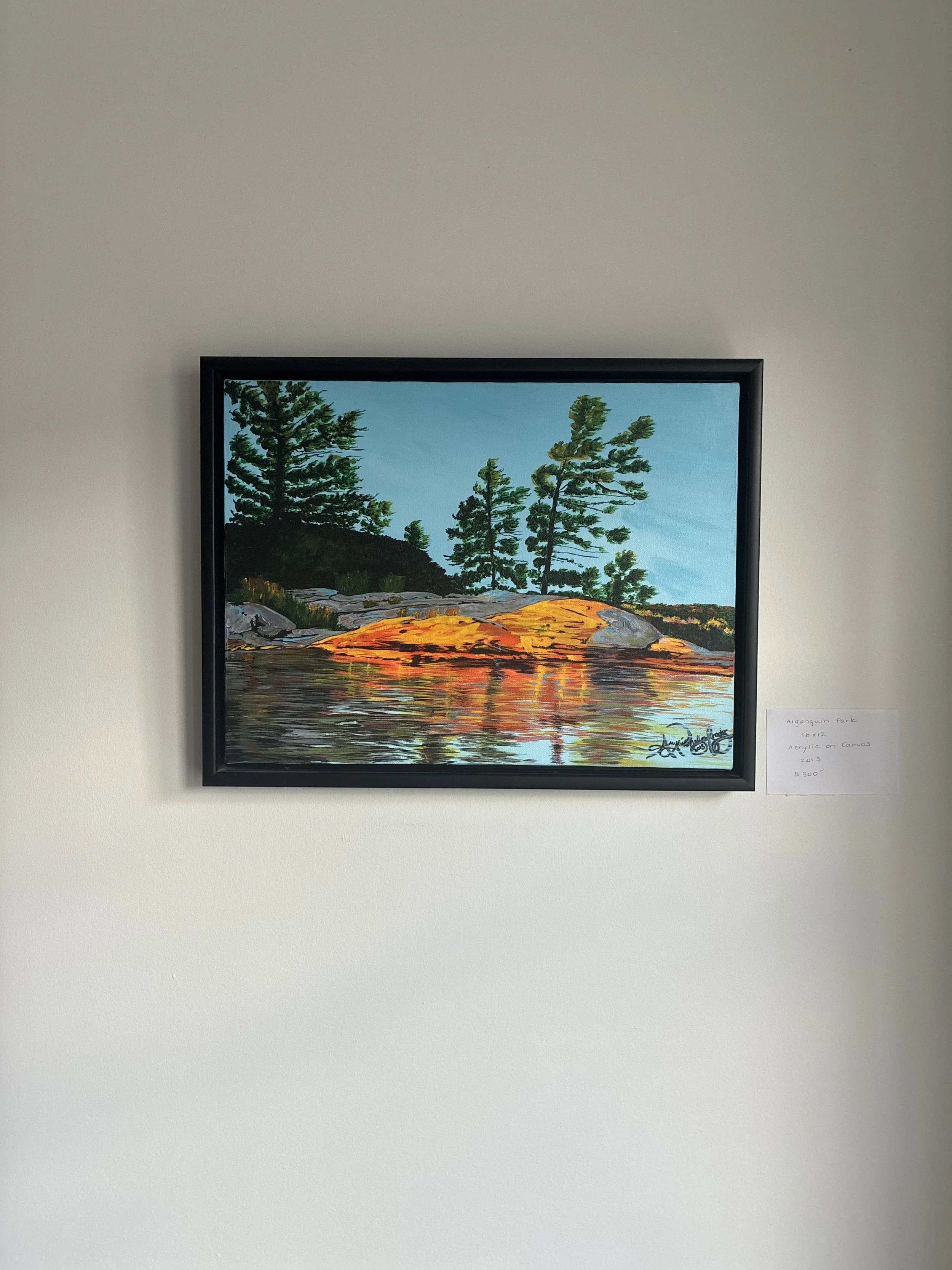 Algonquin Park 3.jpeg