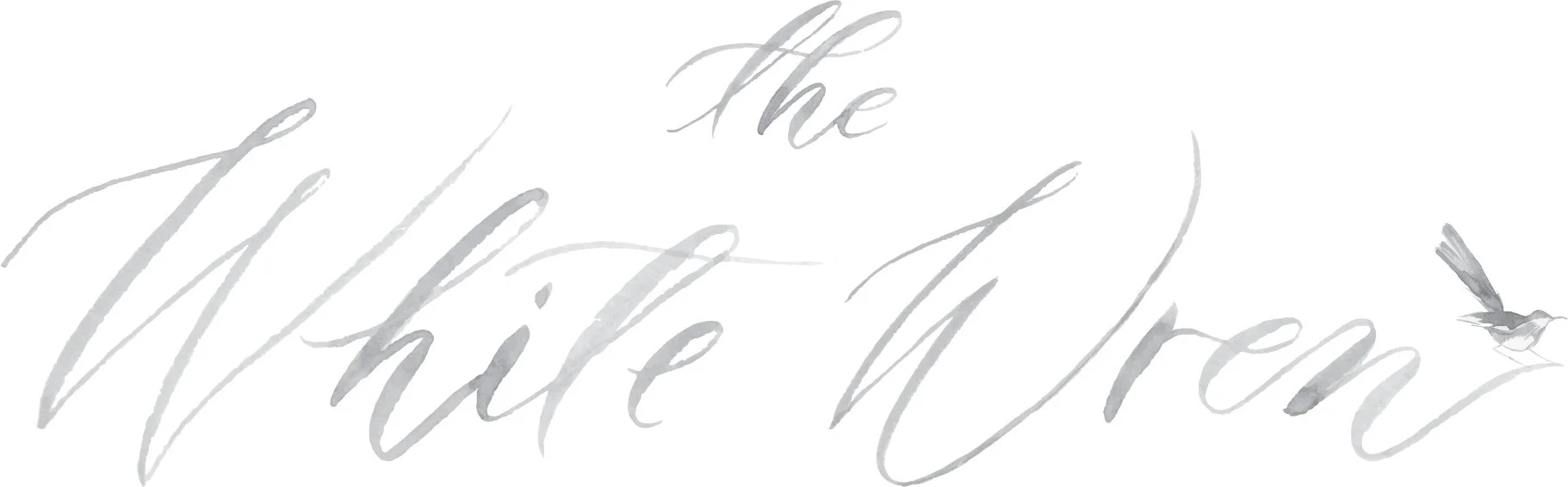 The White Wren Feature