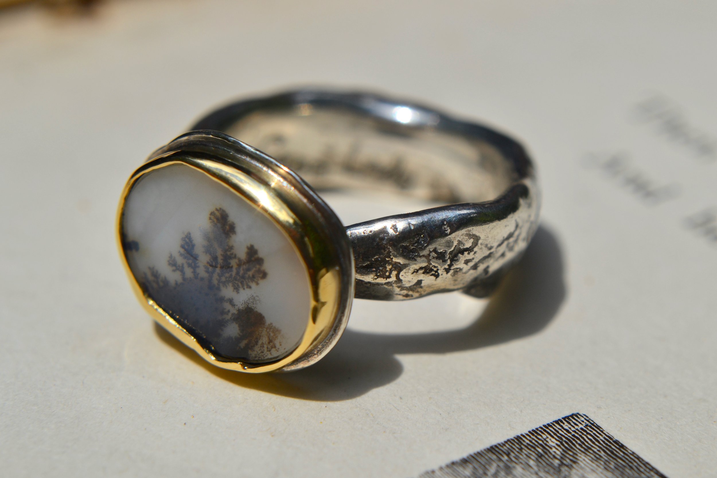 DSC_0231 - Stasia Salvucci.jpeg