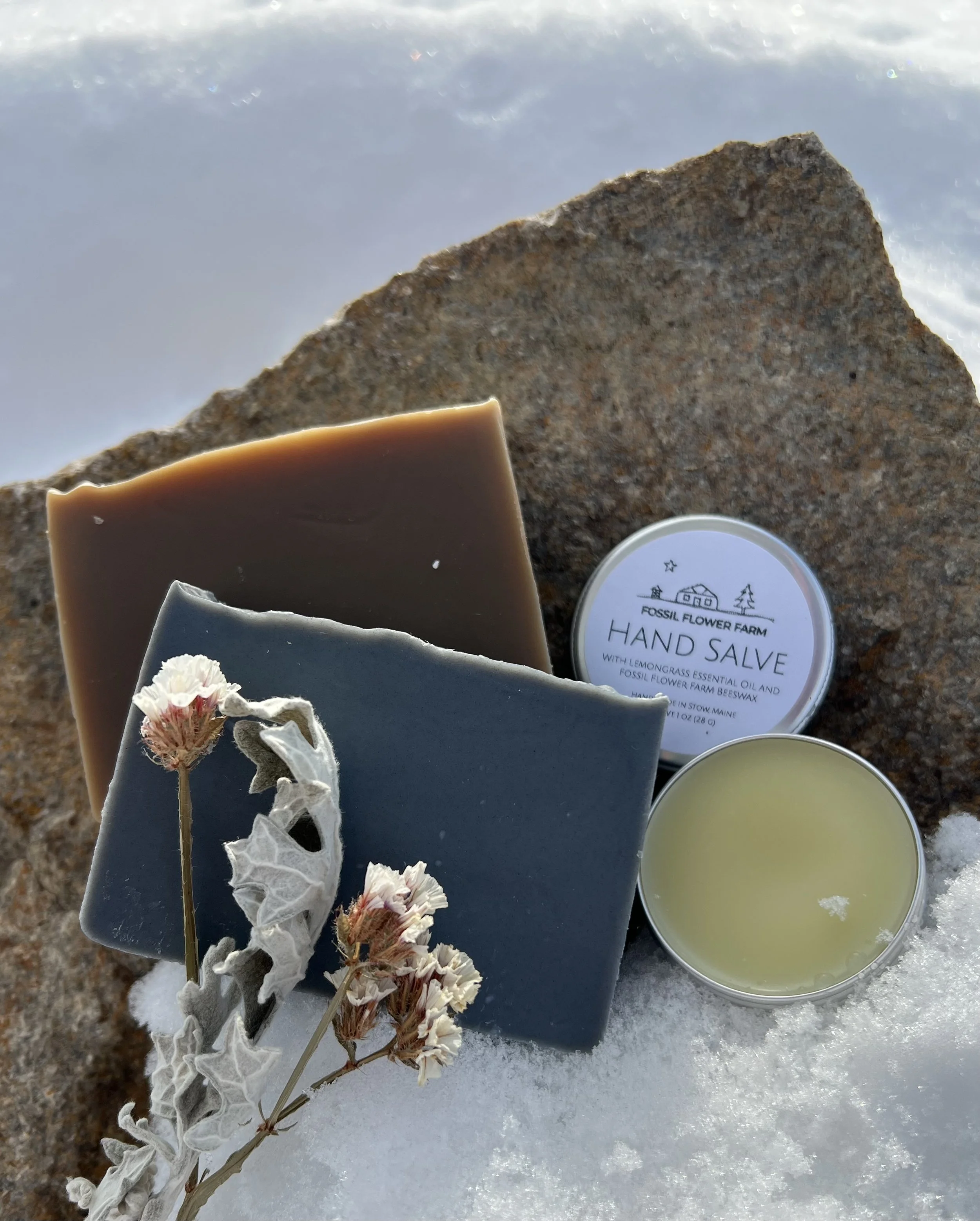 IMG_8262 - Mike & Alison Carbone.jpeg