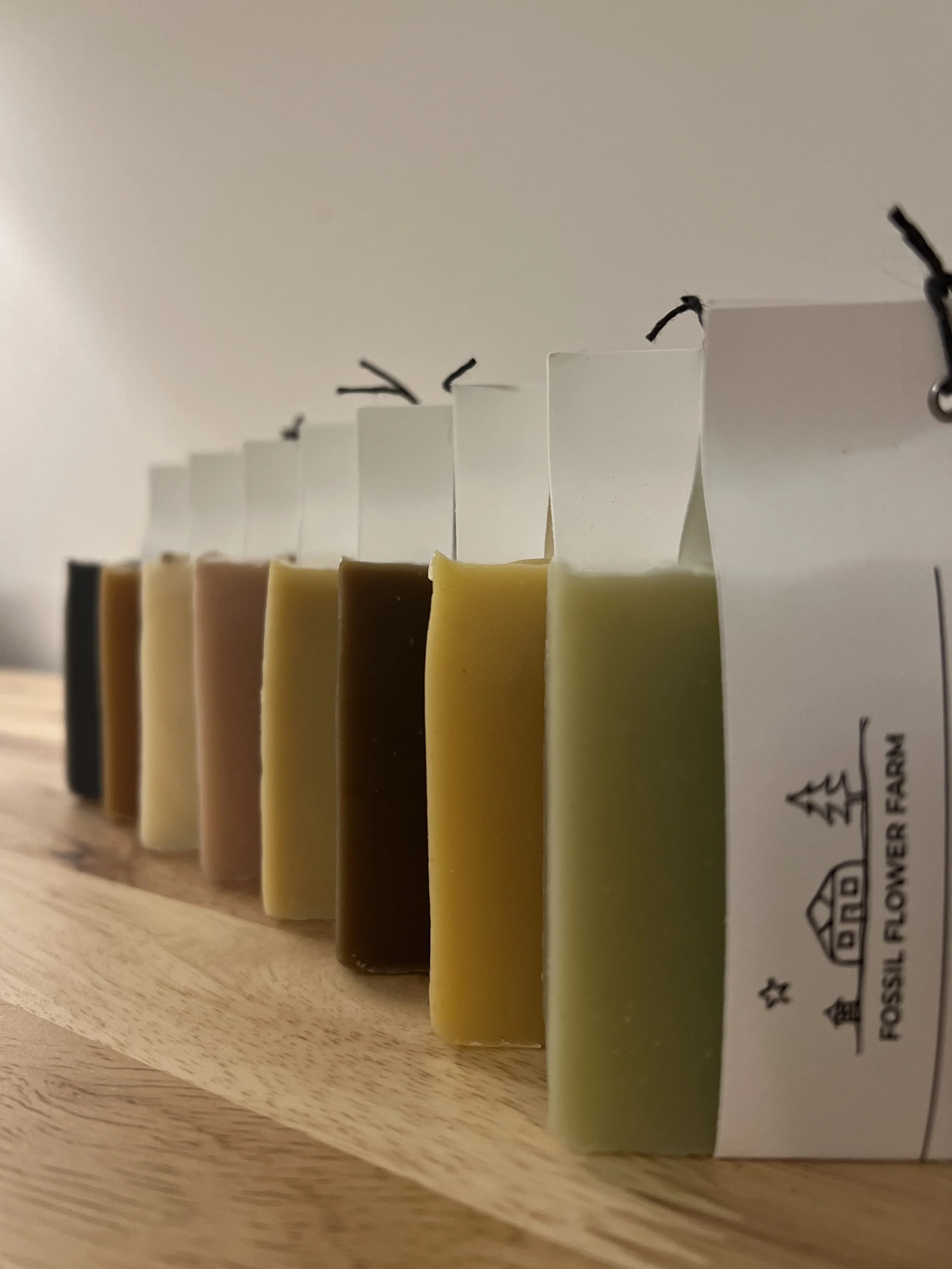 IMG_7131 - Mike & Alison Carbone.jpeg