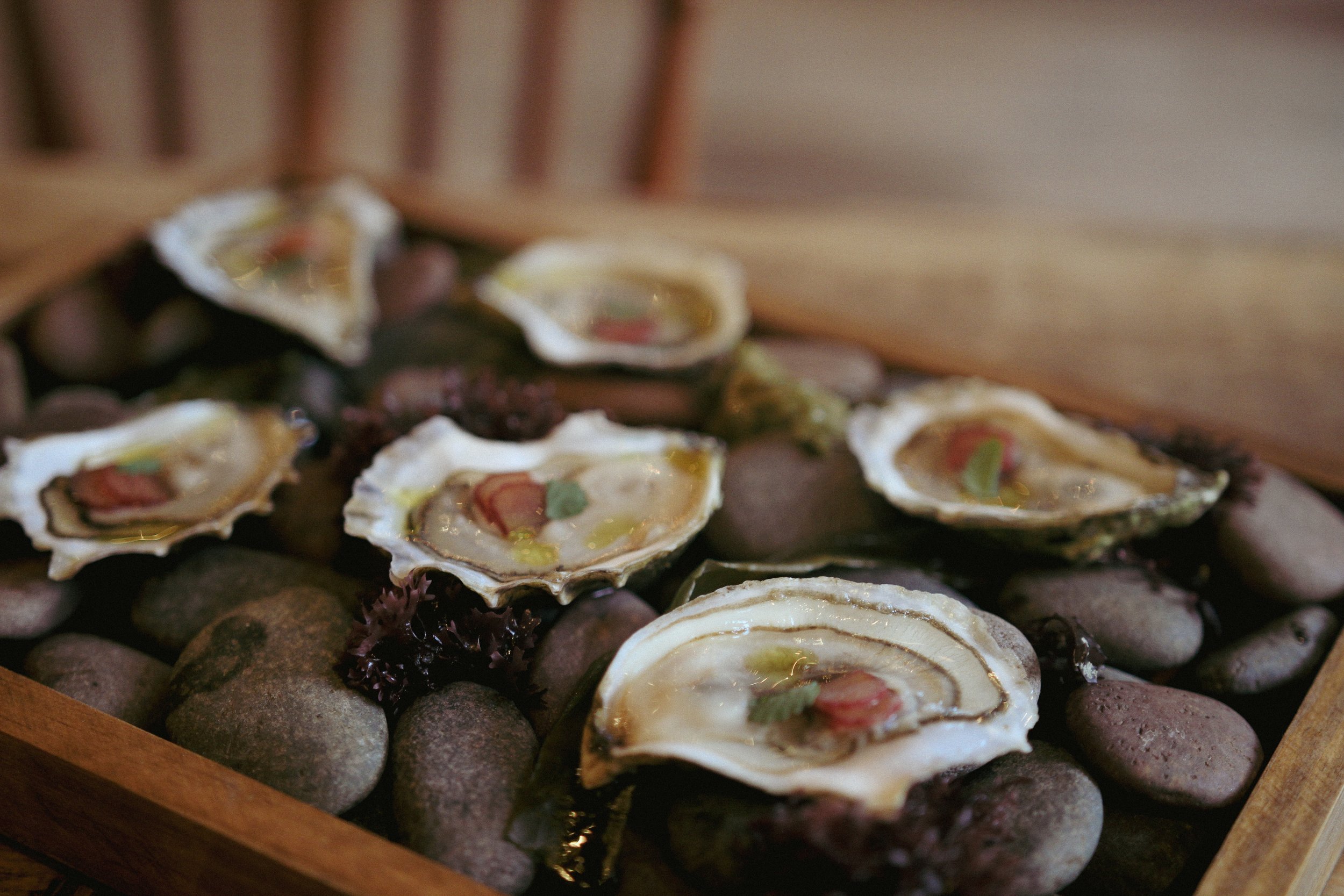 maine oysters