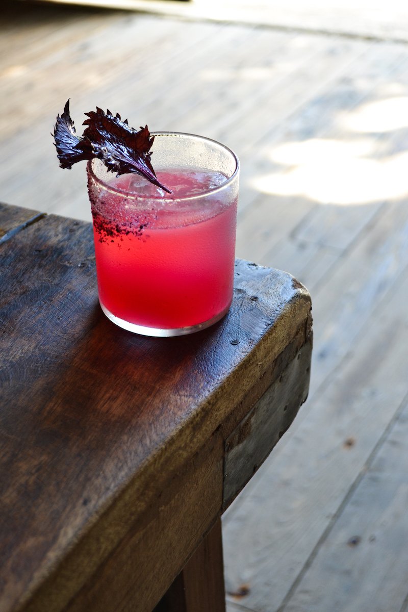 farm to table cocktails